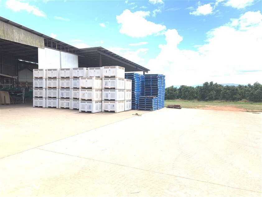 1611 Mareeba Dimbulah Road, Arriga For Sale by Farmbuy.com - image 4