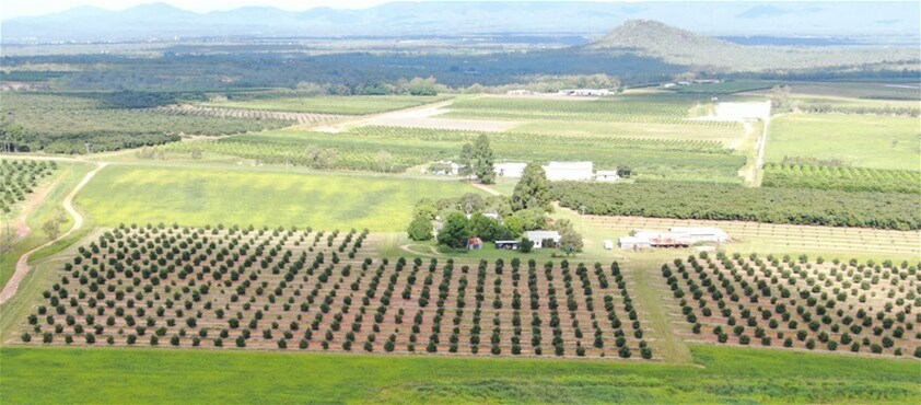 1611 Mareeba Dimbulah Road, Arriga For Sale by Farmbuy.com - image 11