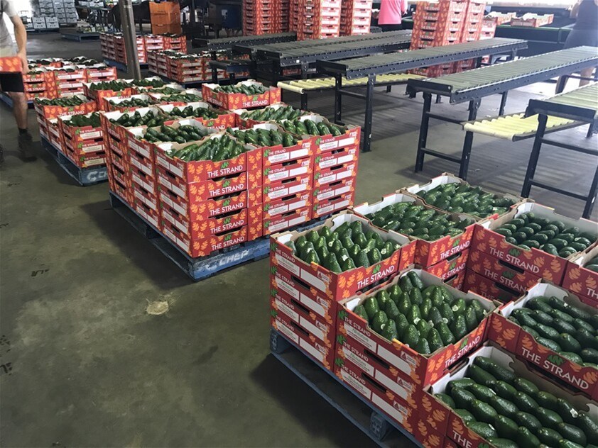 1611 Mareeba Dimbulah Road, Arriga For Sale by Farmbuy.com - image 17