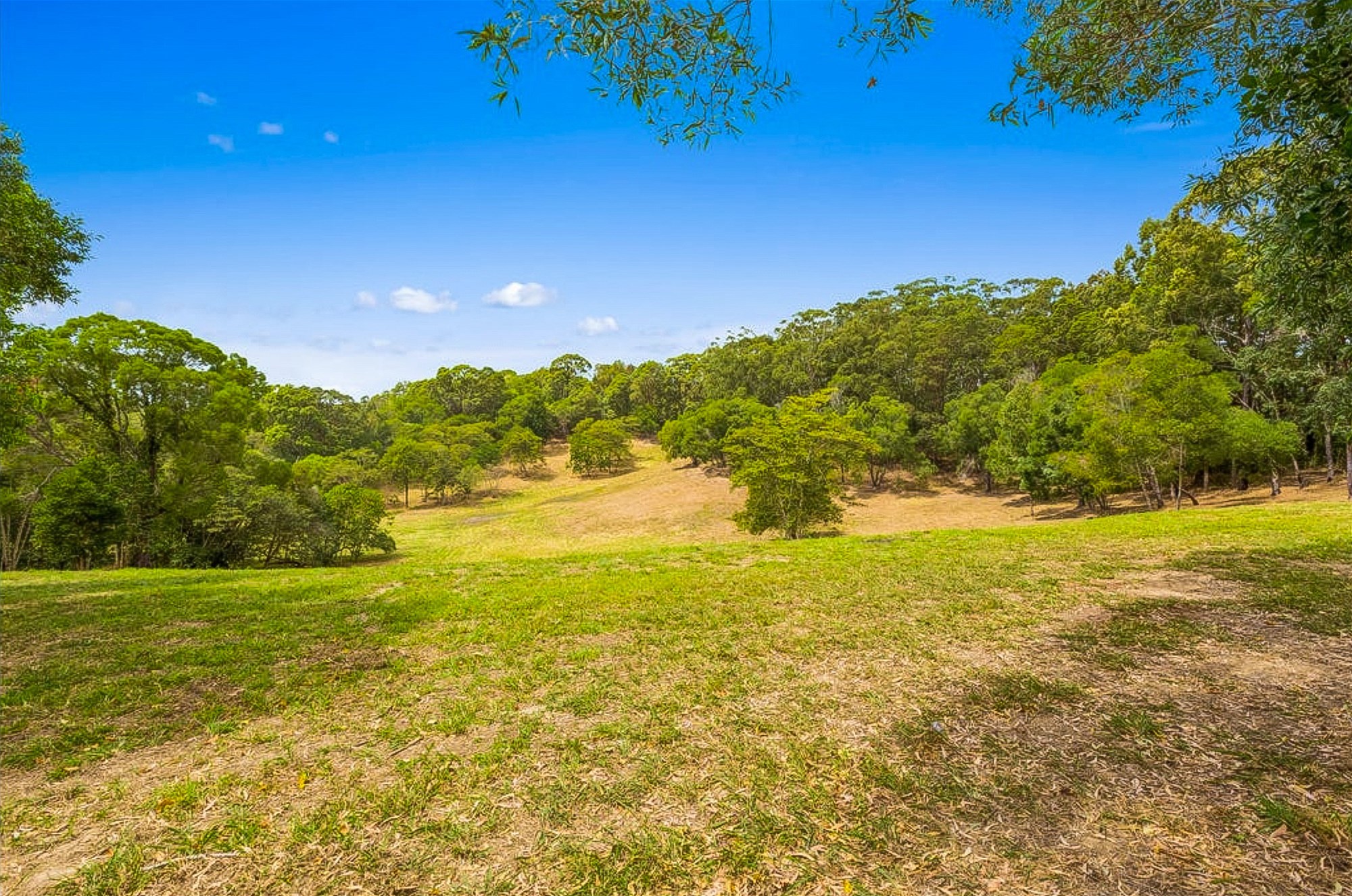 Wooyung For Sale by Farmbuy.com - image 6