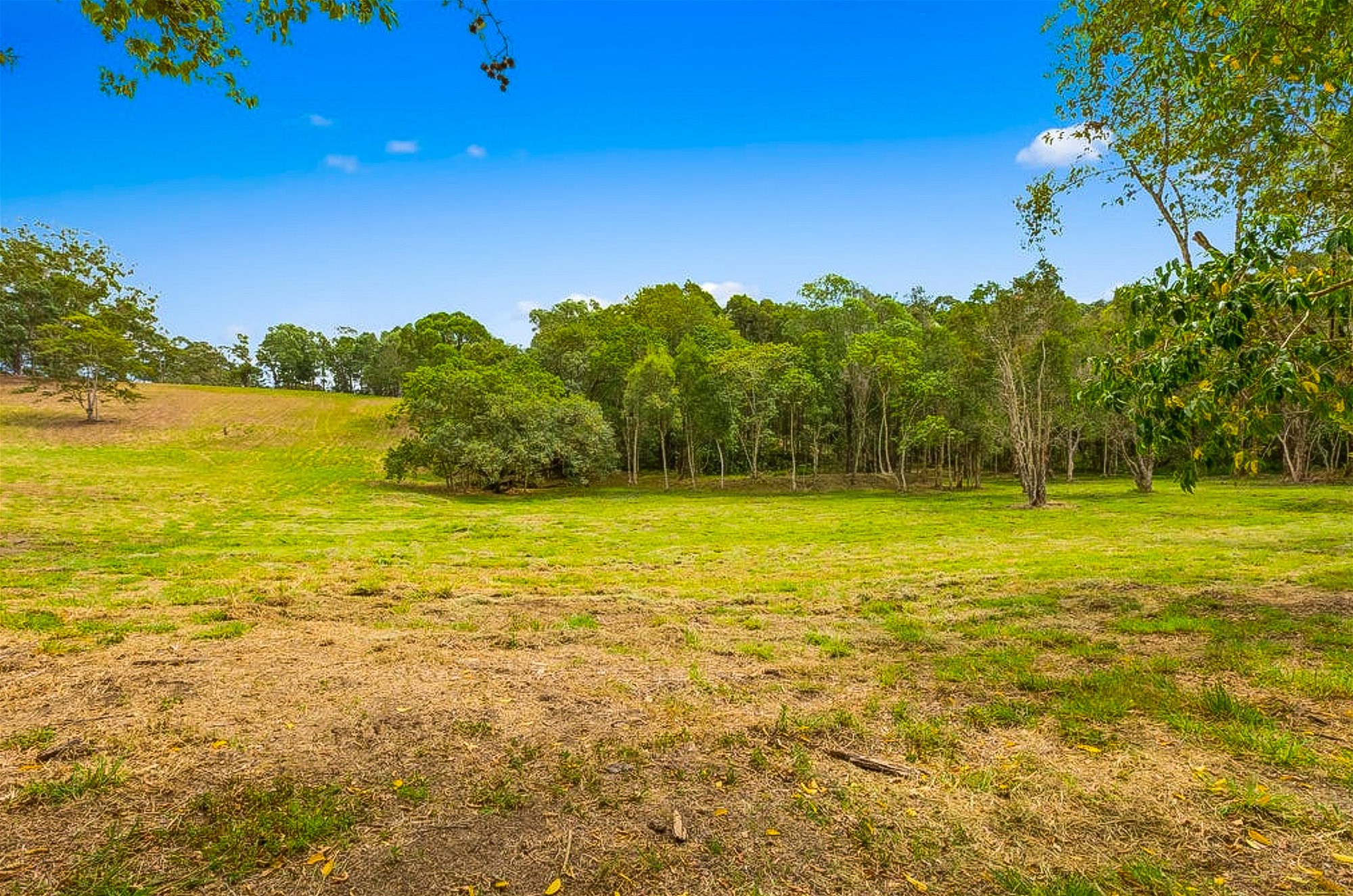 Wooyung For Sale by Farmbuy.com - image 7