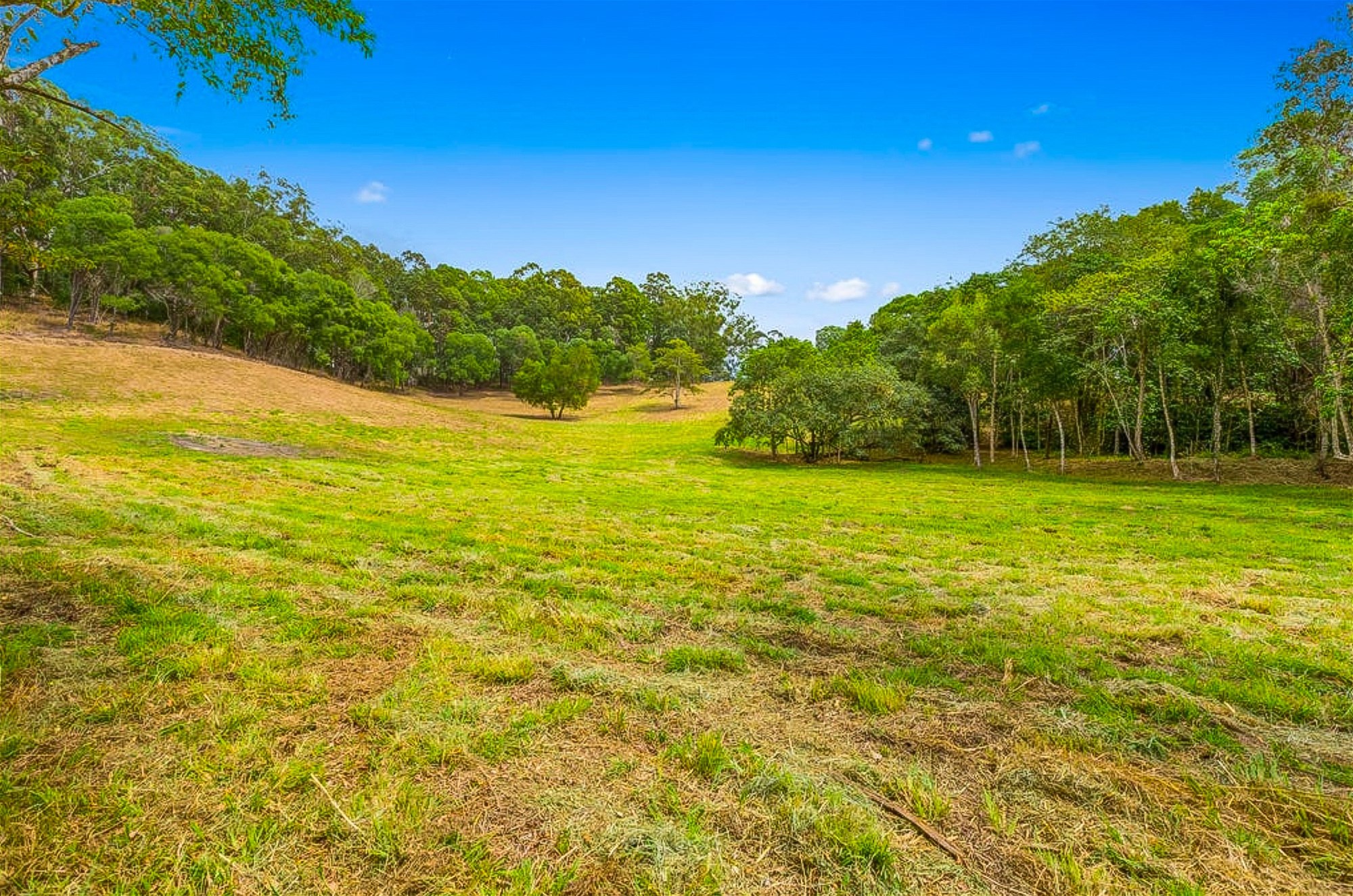 Wooyung For Sale by Farmbuy.com - image 8