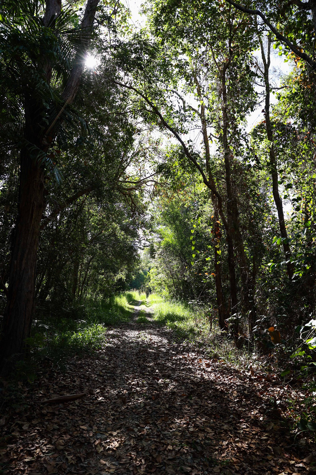 Wooyung For Sale by Farmbuy.com - image 15