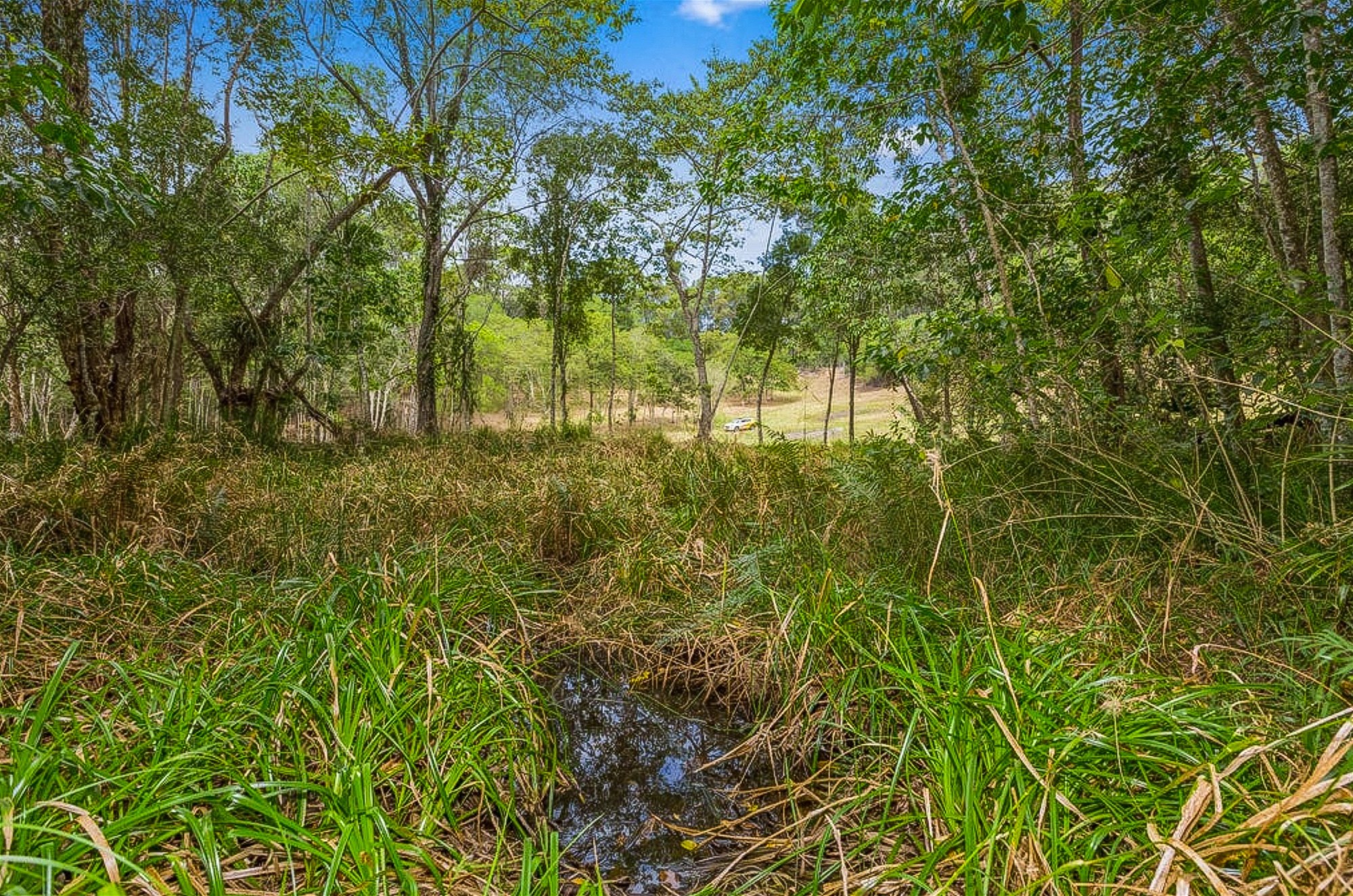 Wooyung For Sale by Farmbuy.com - image 16