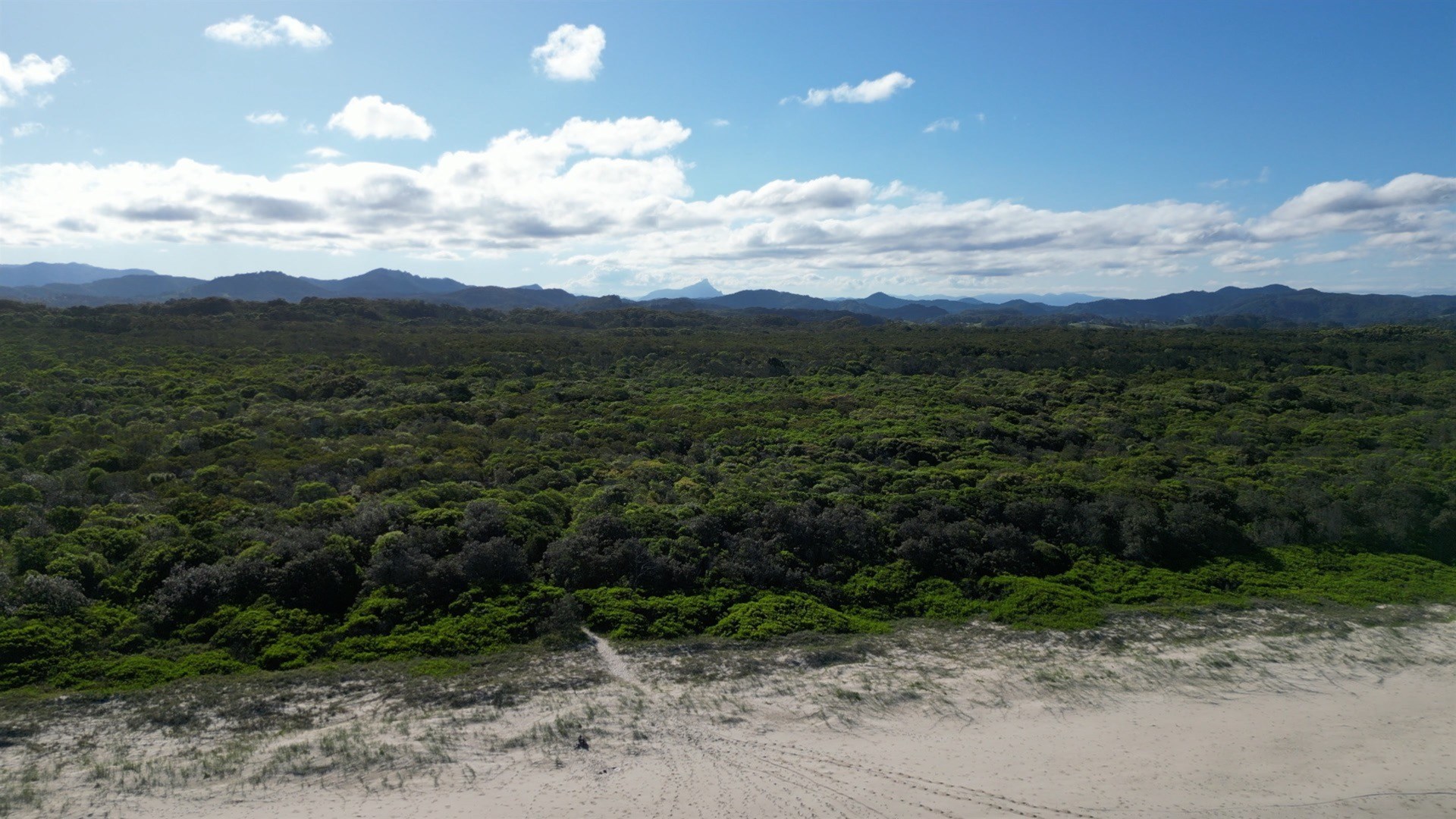 Wooyung For Sale by Farmbuy.com - image 17