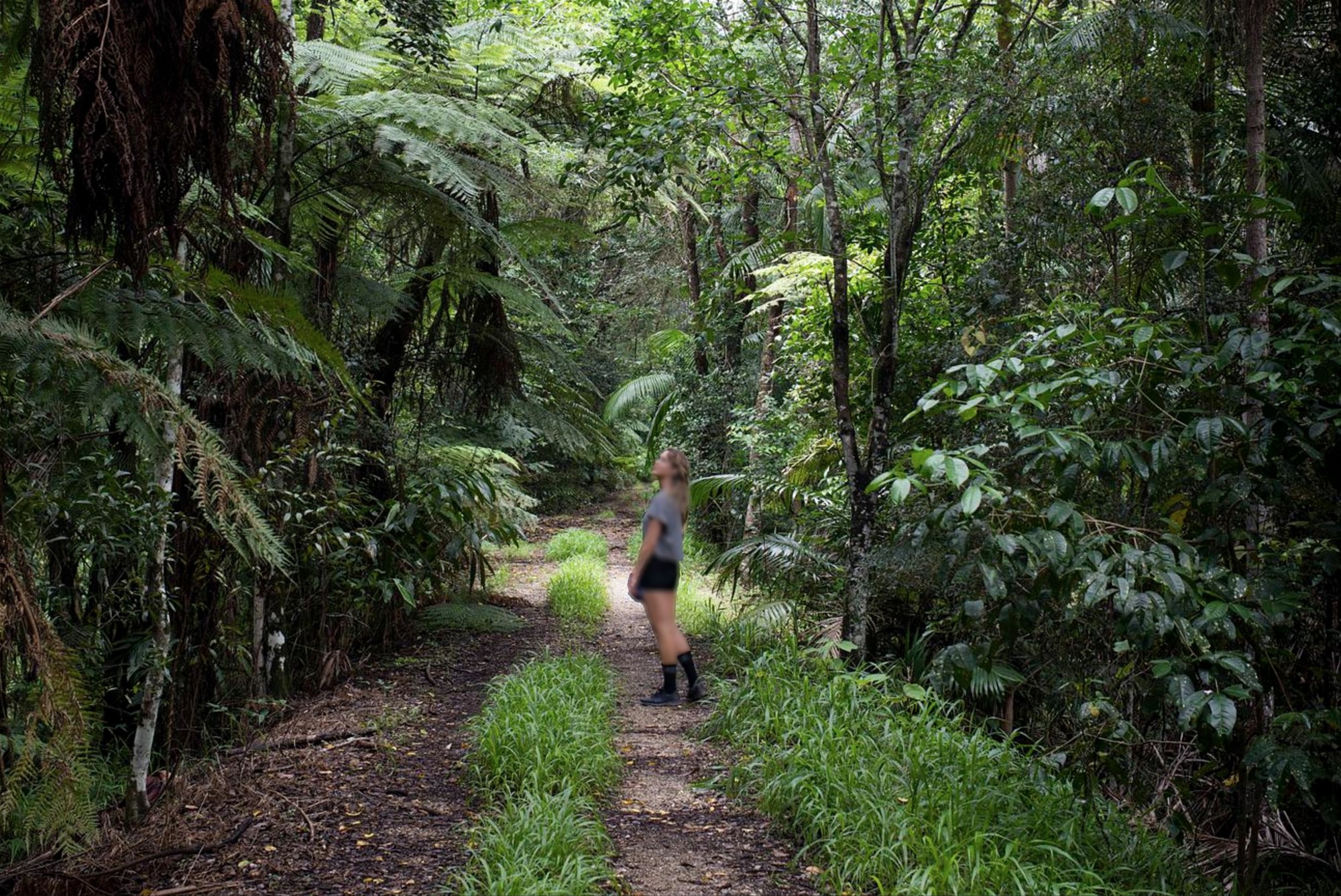 Wooyung For Sale by Farmbuy.com - image 19