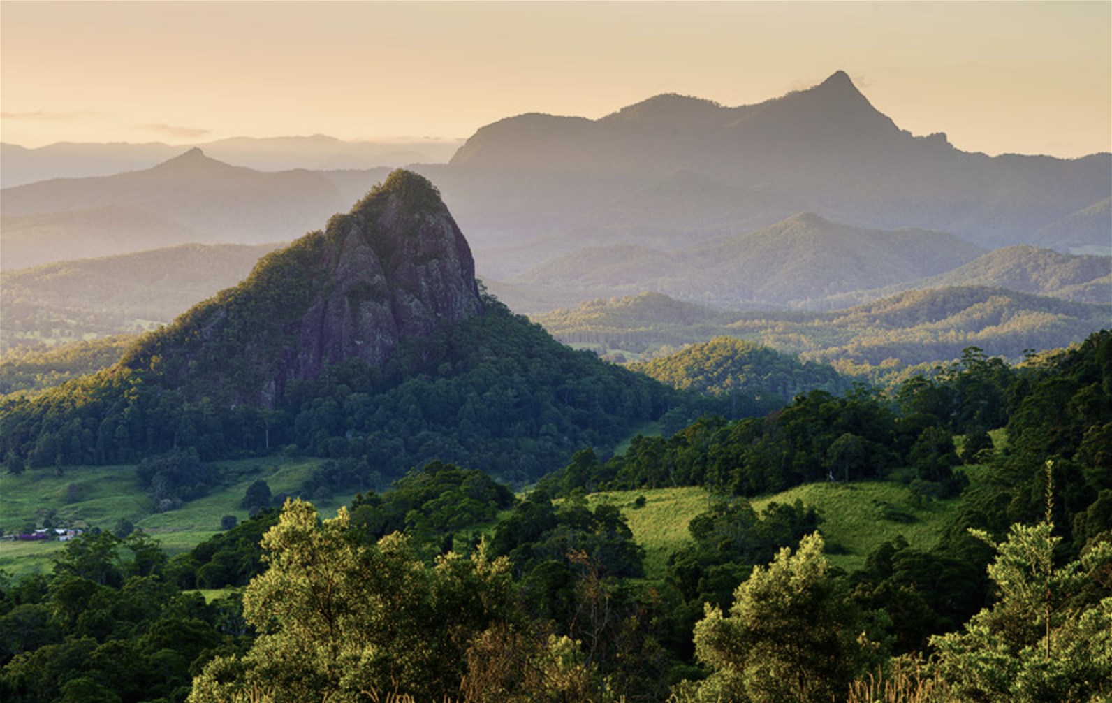 Wooyung For Sale by Farmbuy.com - image 23