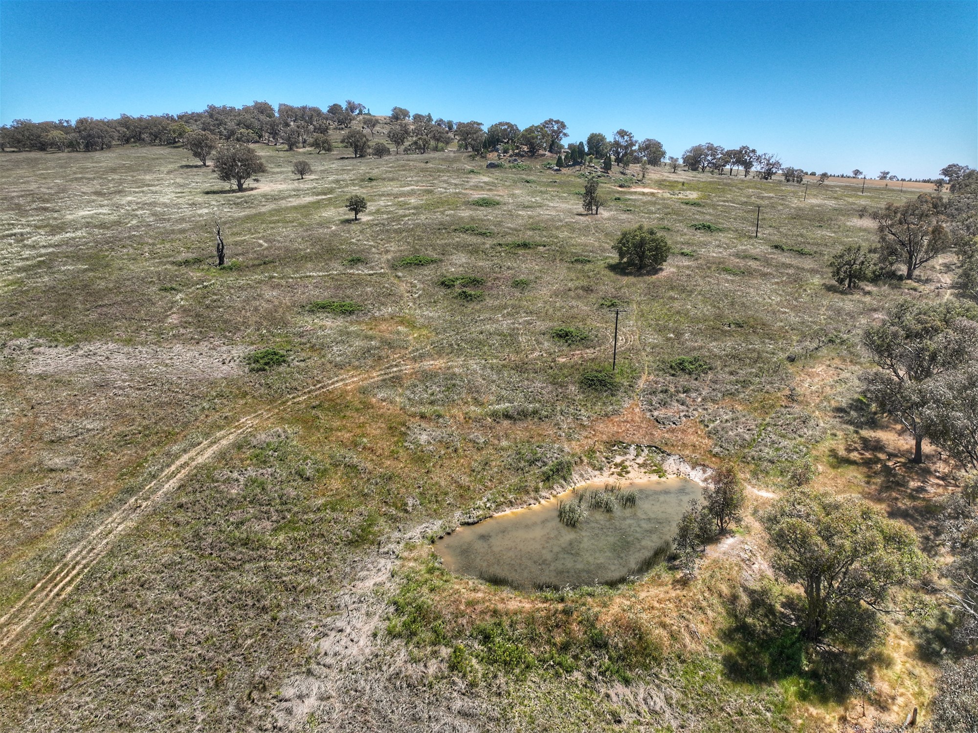 1294 Pine Mount Road, Woodstock For Sale by Farmbuy.com - image 7