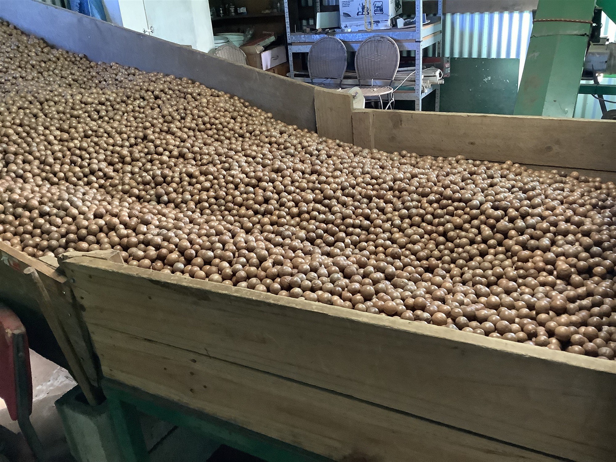 Peachester For Sale by Farmbuy.com - image 14