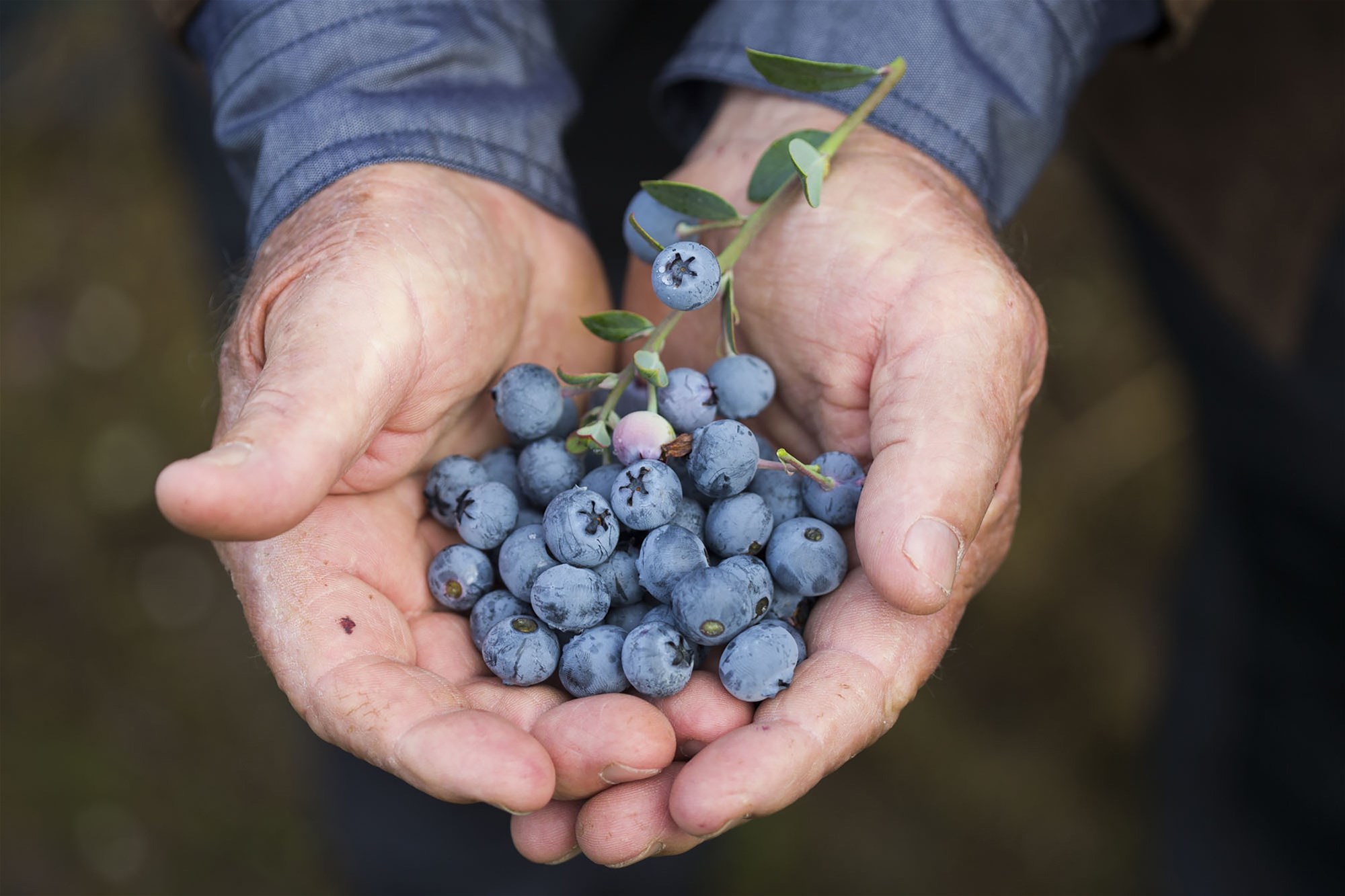 103 Kawana Lane, Barraganyatti For Sale by Farmbuy.com - image 22