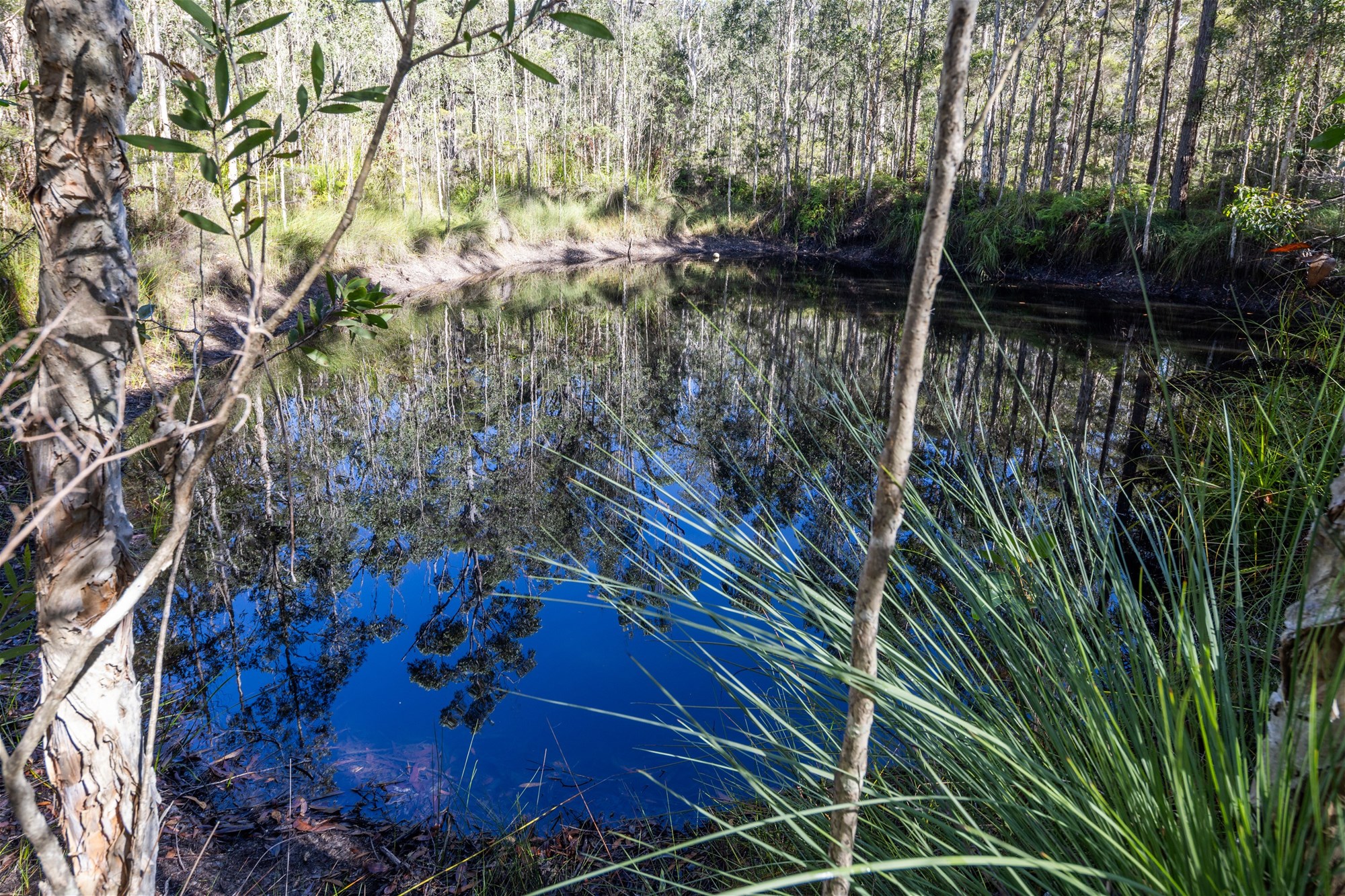 103 Kawana Lane, Barraganyatti For Sale by Farmbuy.com - image 23