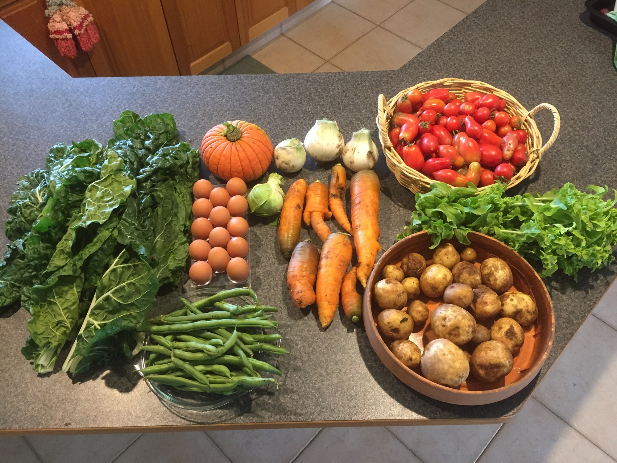 Wyndham For Sale by Farmbuy.com - image 9