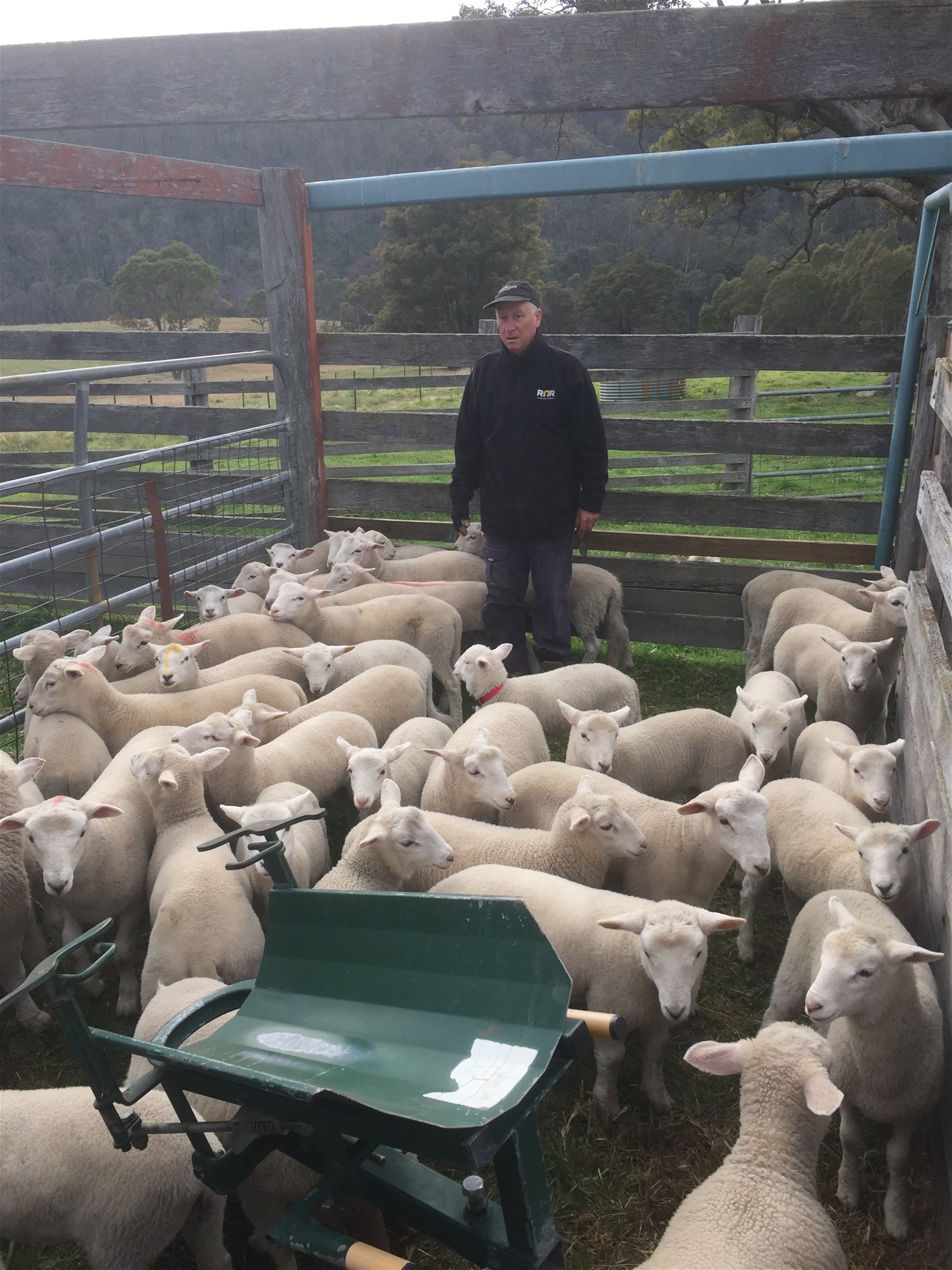 Wyndham For Sale by Farmbuy.com - image 12