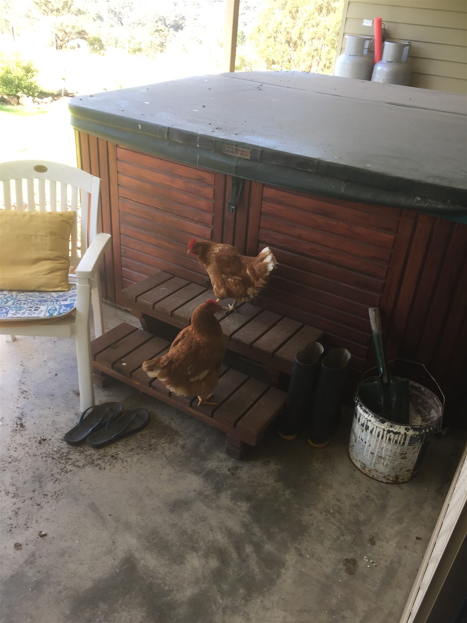 Wyndham For Sale by Farmbuy.com - image 16