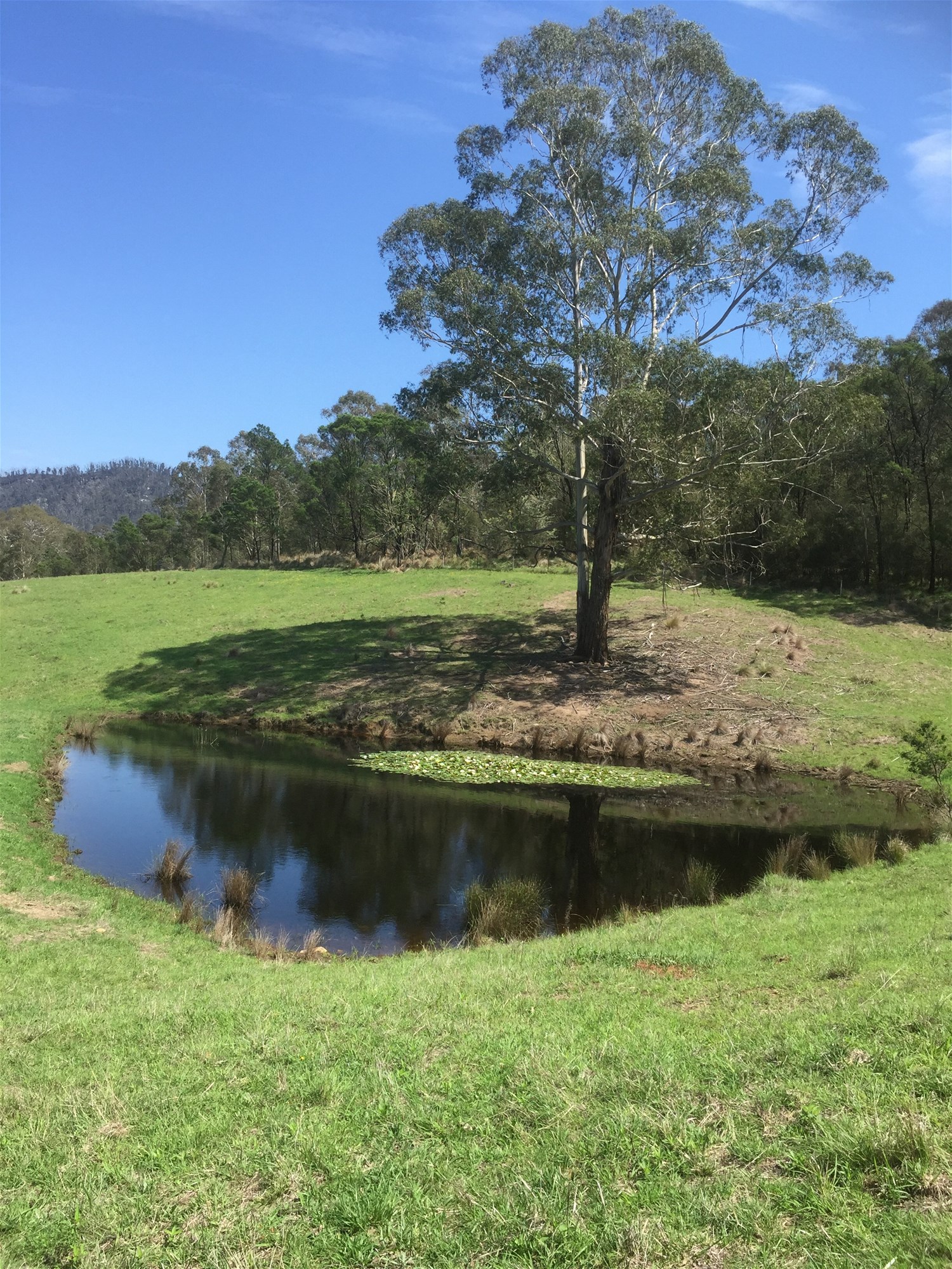 Wyndham For Sale by Farmbuy.com - image 17