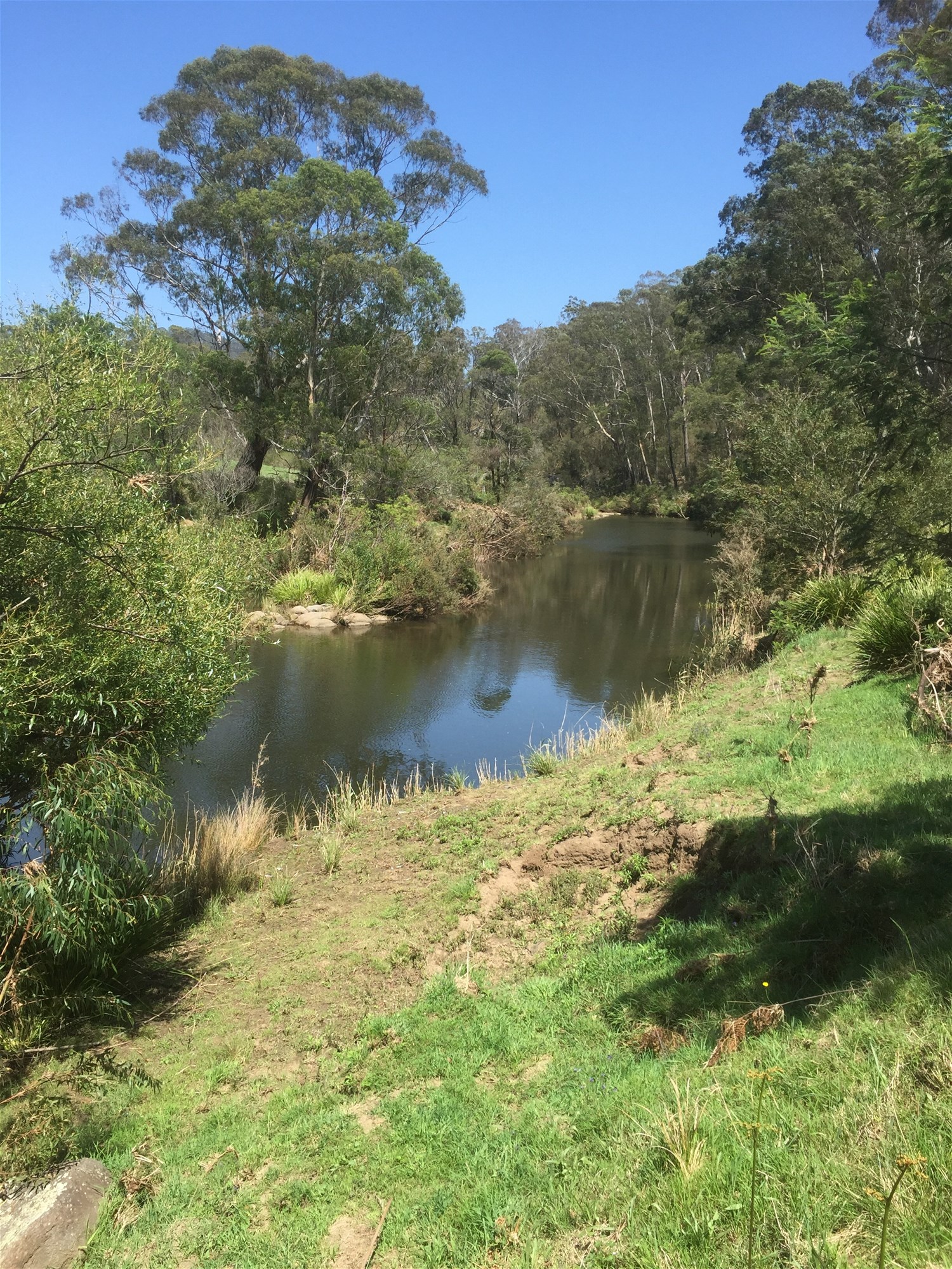 Wyndham For Sale by Farmbuy.com - image 18