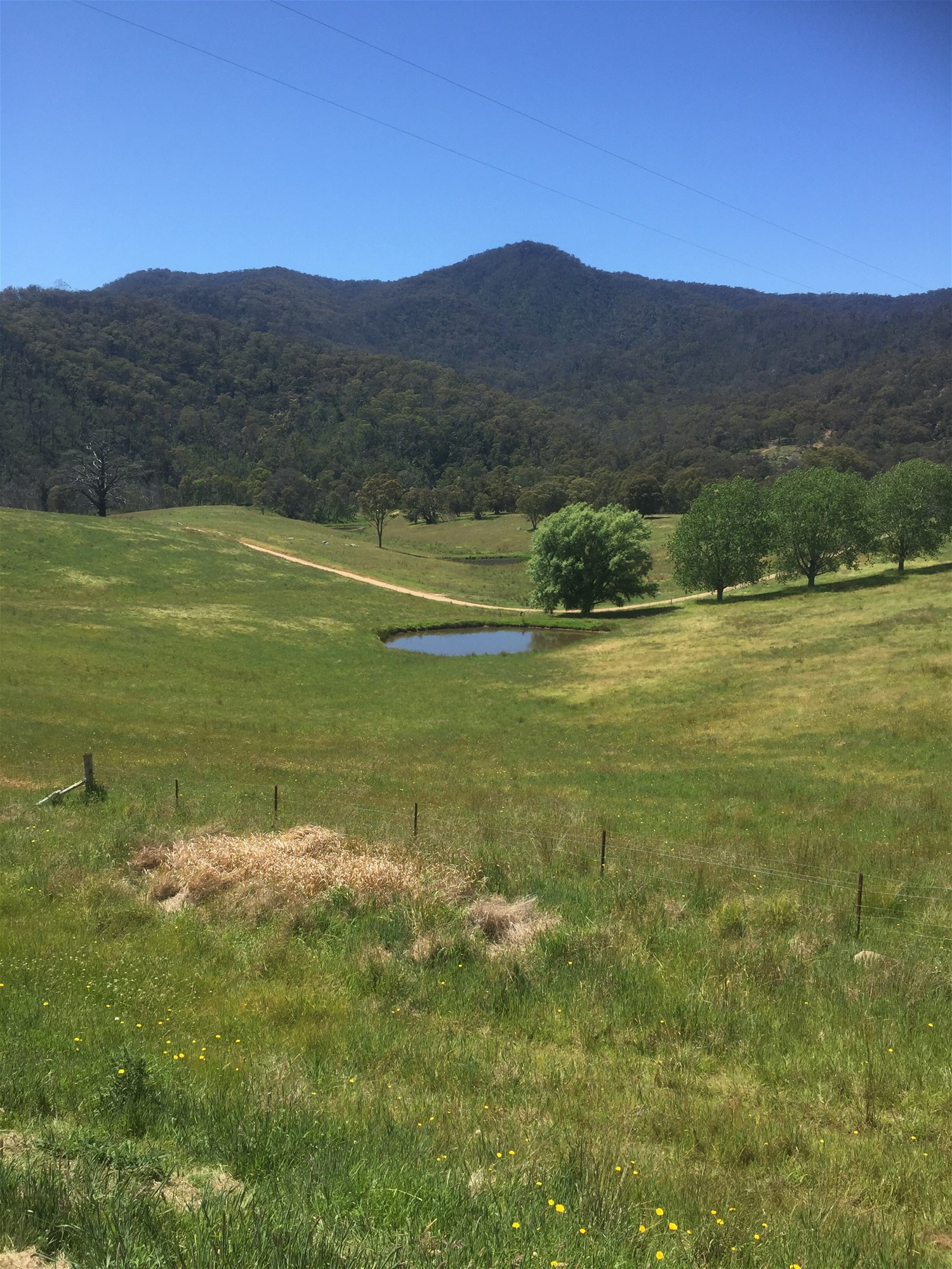 Wyndham For Sale by Farmbuy.com - image 19