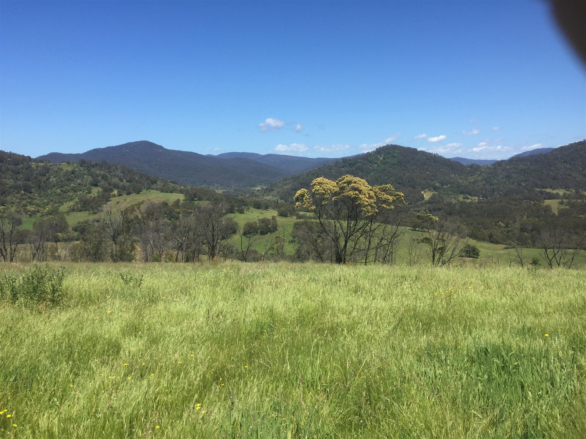 Wyndham For Sale by Farmbuy.com - image 20