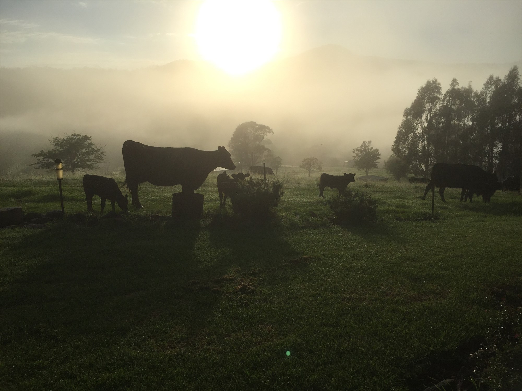 Wyndham For Sale by Farmbuy.com - image 23