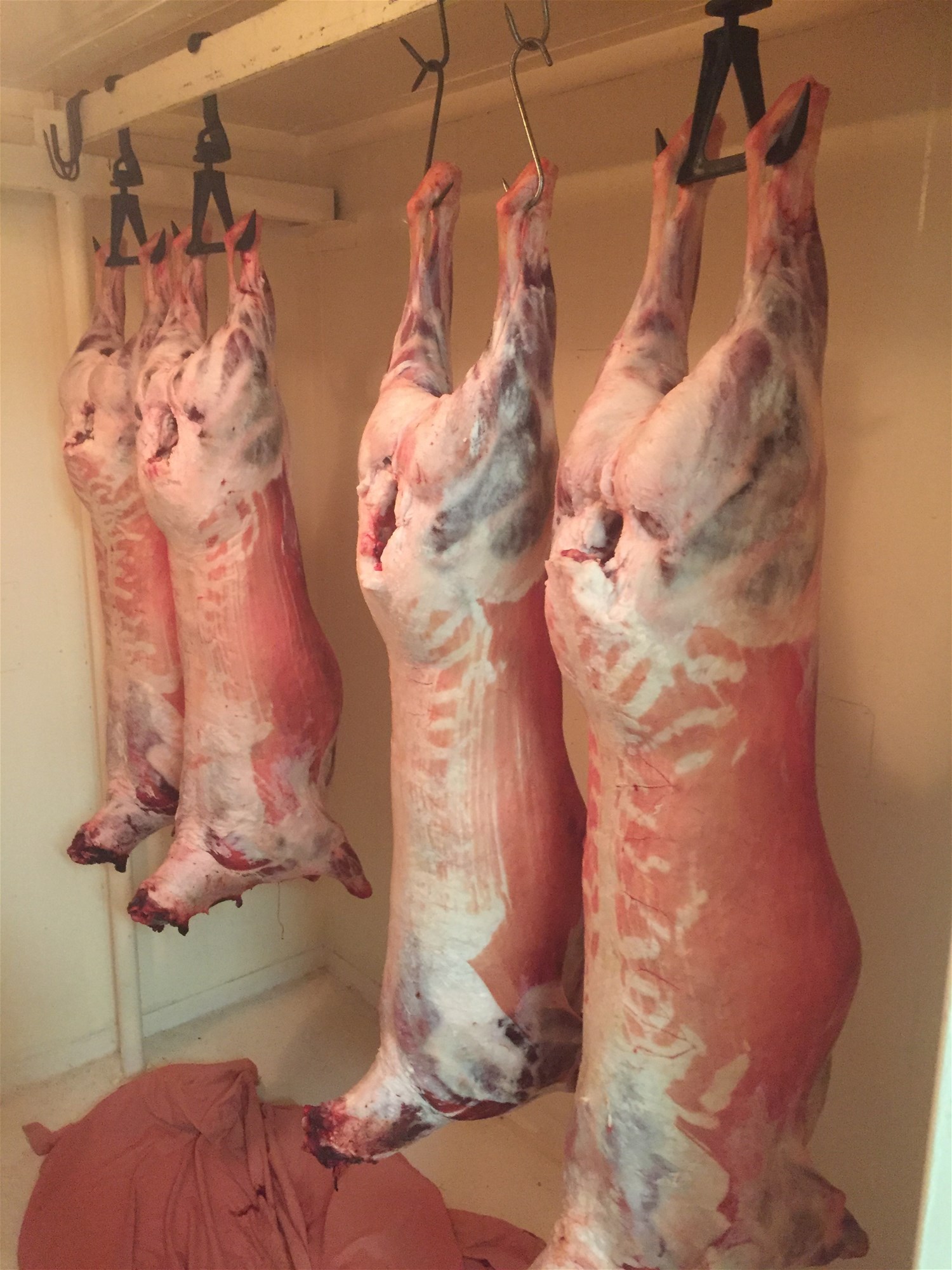 Wyndham For Sale by Farmbuy.com - image 28