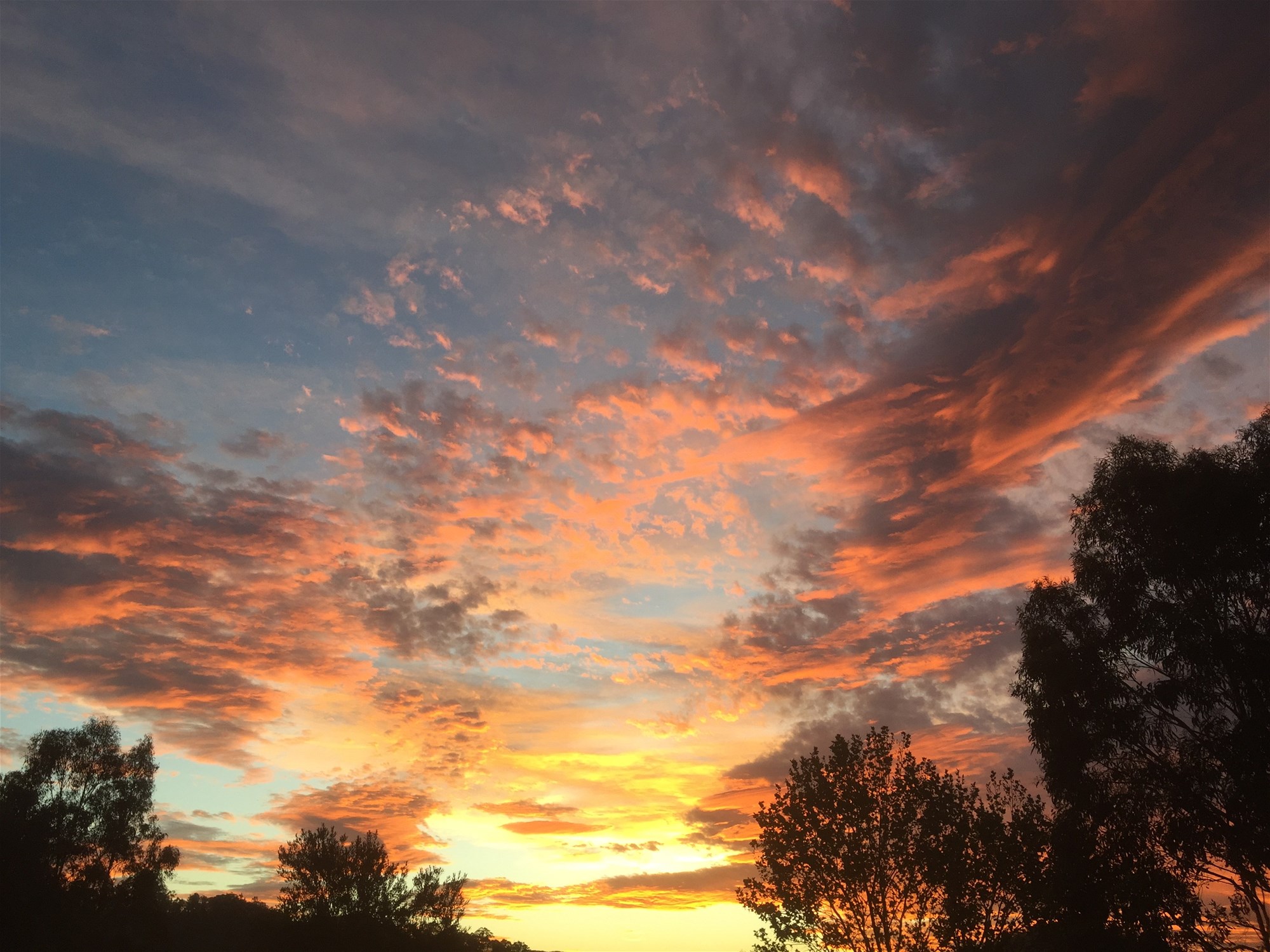 Wyndham For Sale by Farmbuy.com - image 30