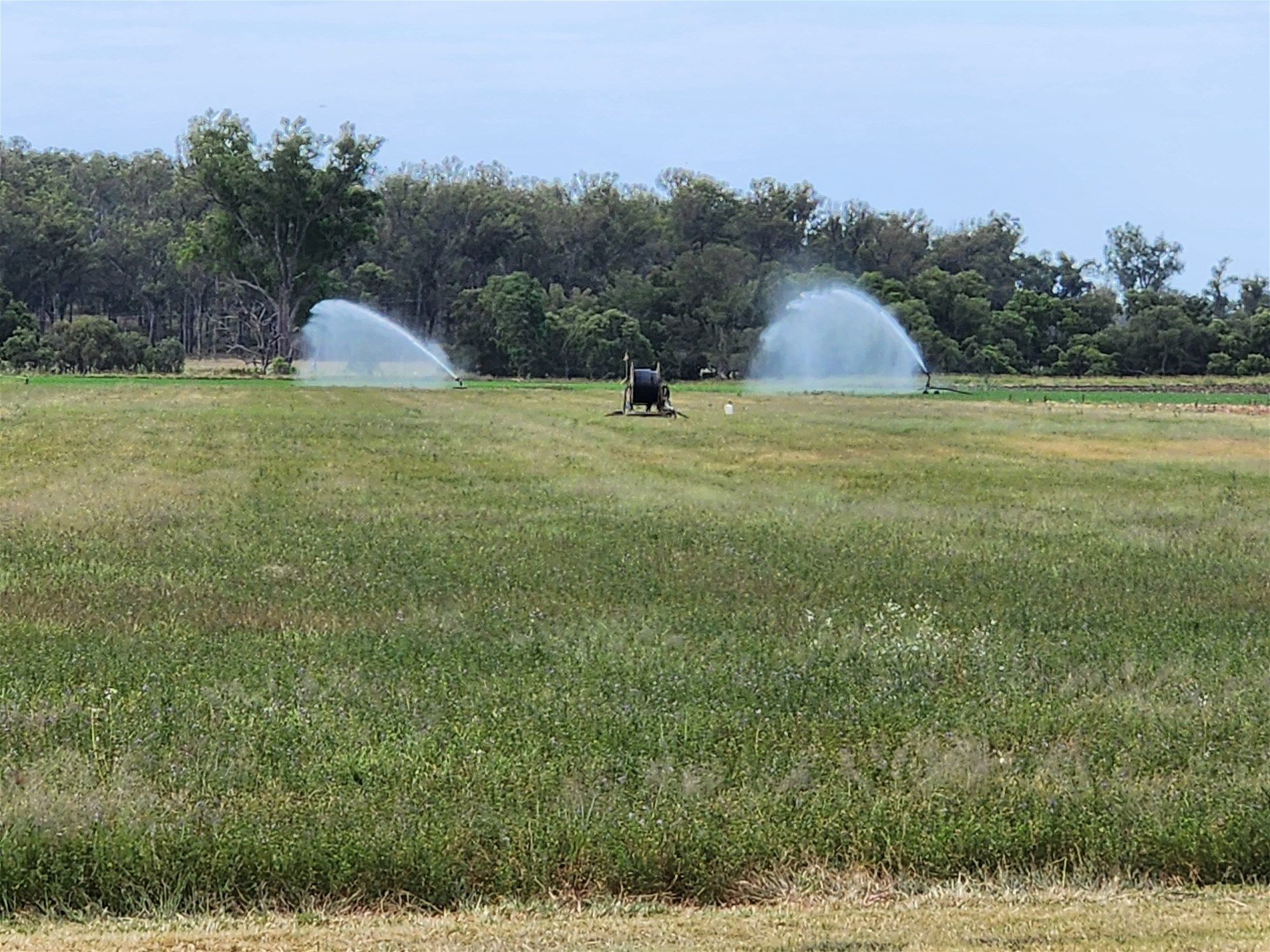 206 Mondure Crossing Road, Glan Devon For Sale by Farmbuy.com - image 4