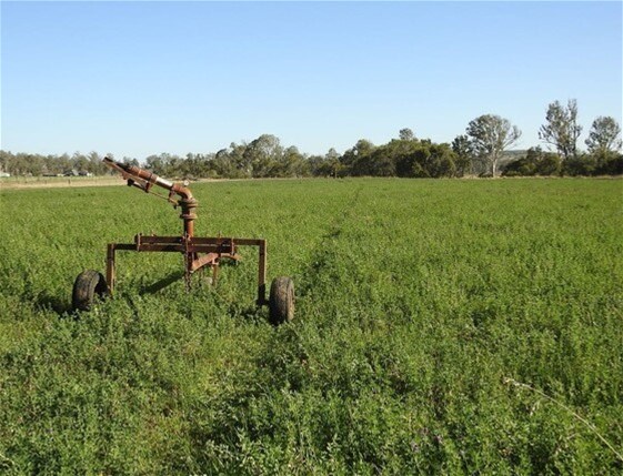 206 Mondure Crossing Road, Glan Devon For Sale by Farmbuy.com - image 7