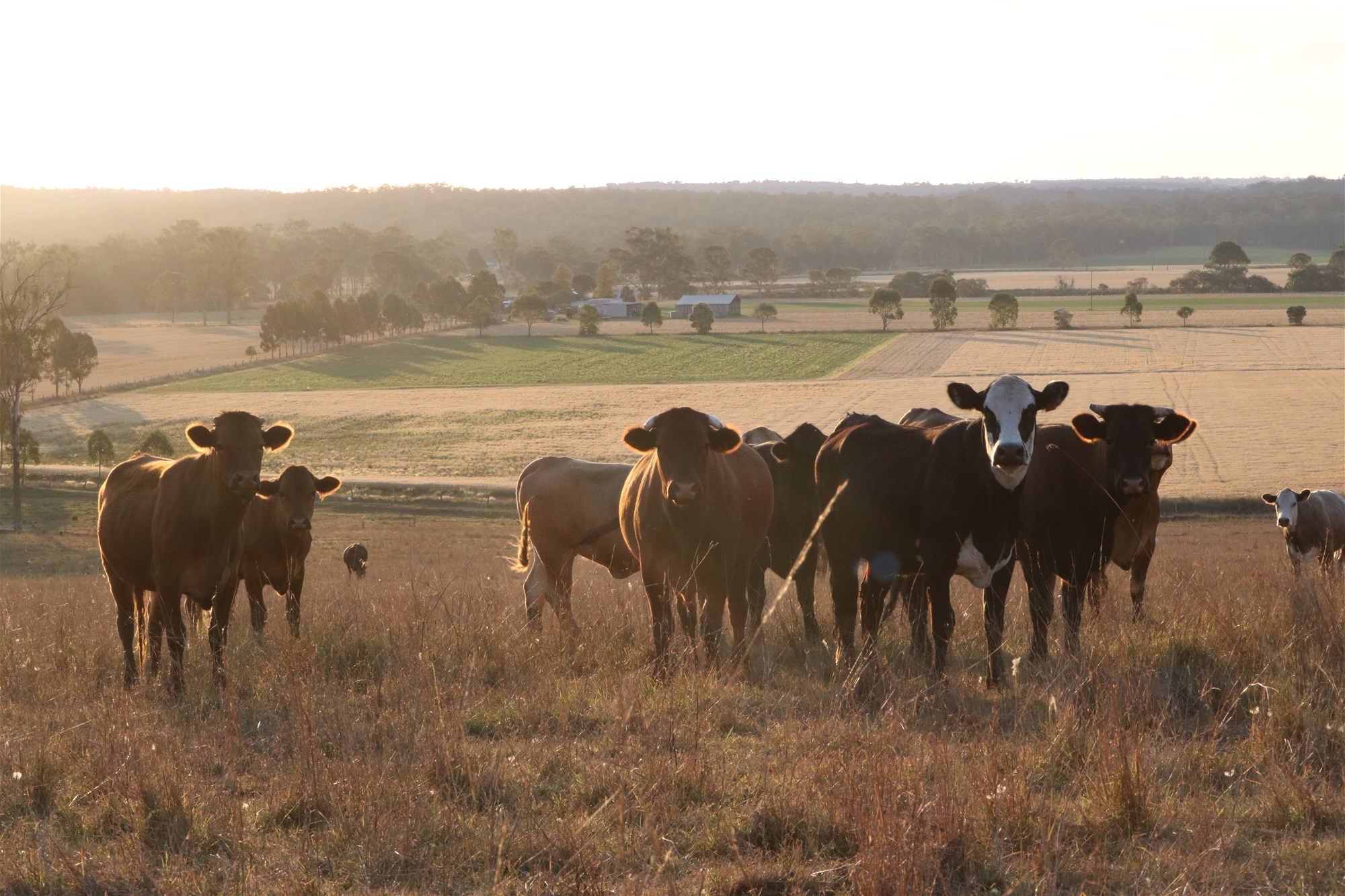 206 Mondure Crossing Road, Glan Devon For Sale by Farmbuy.com - image 15