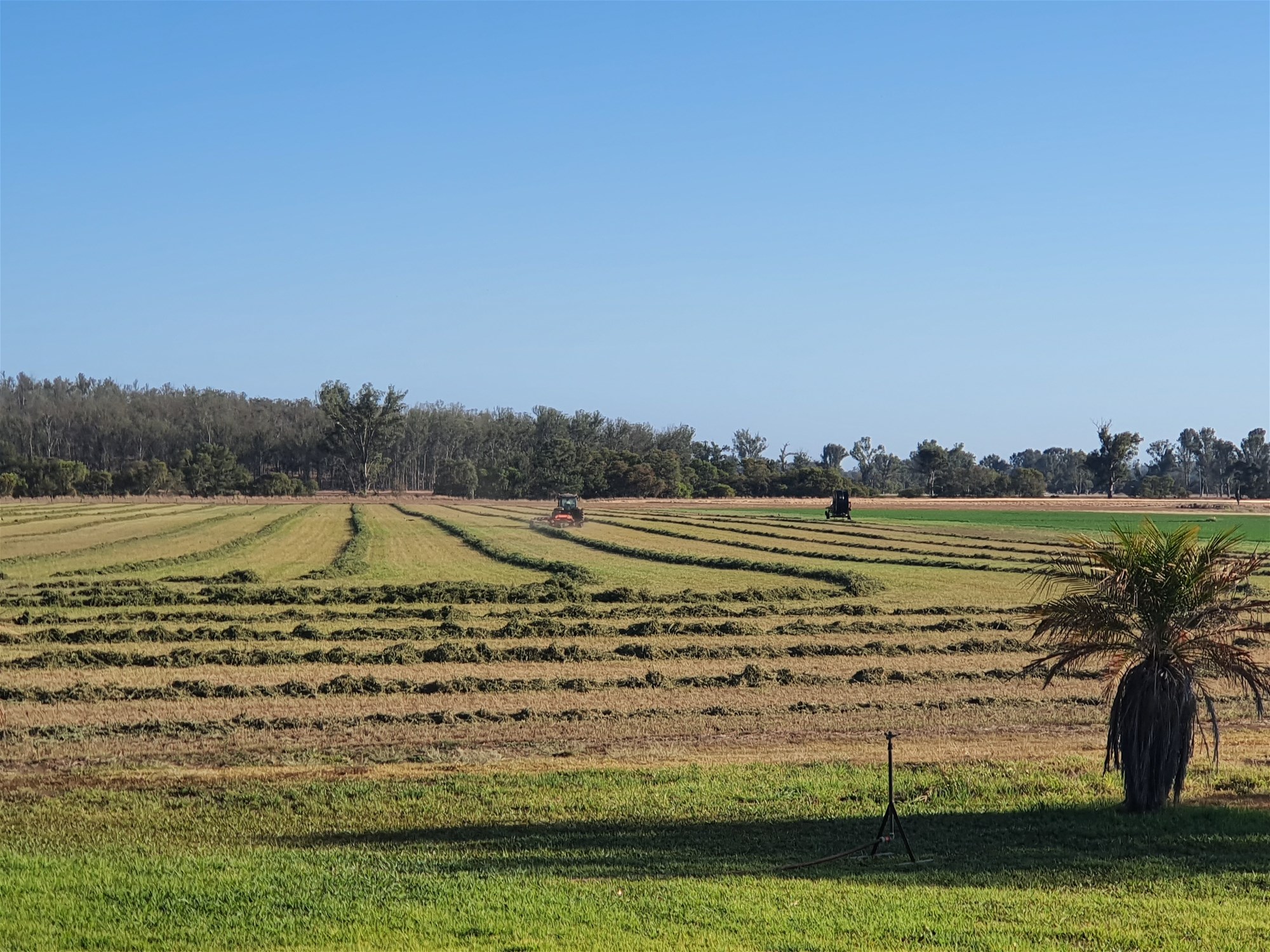 206 Mondure Crossing Road, Glan Devon For Sale by Farmbuy.com - image 16