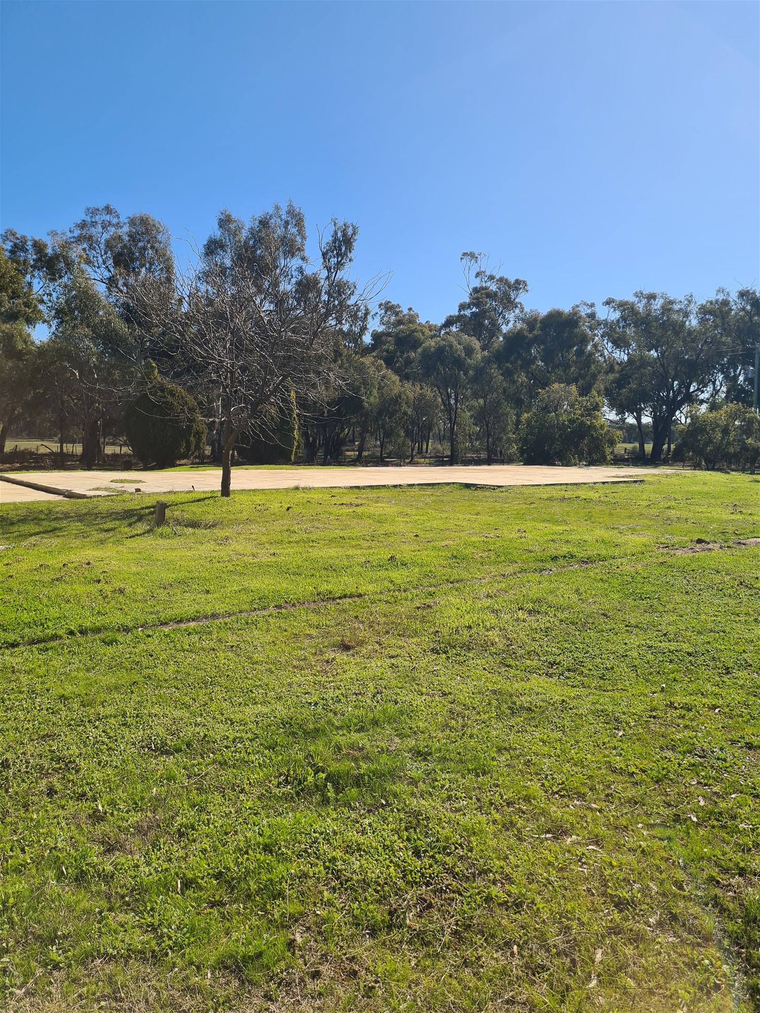 78 Louies Hut Road, Moama For Sale by Farmbuy.com - image 4