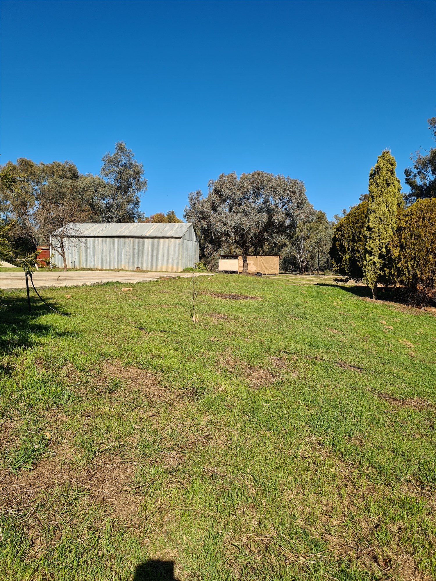 78 Louies Hut Road, Moama For Sale by Farmbuy.com - image 7