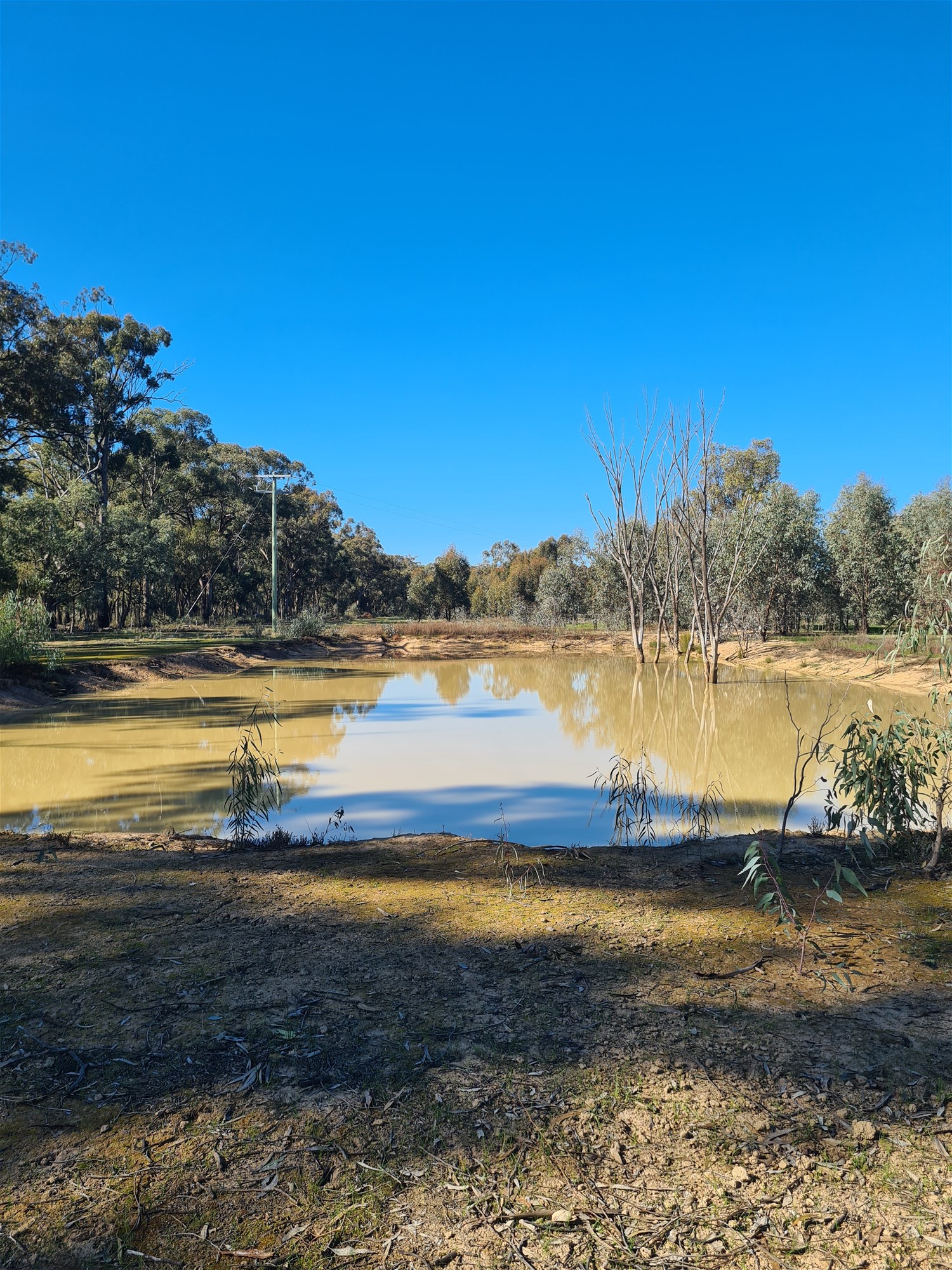 78 Louies Hut Road, Moama For Sale by Farmbuy.com - image 14