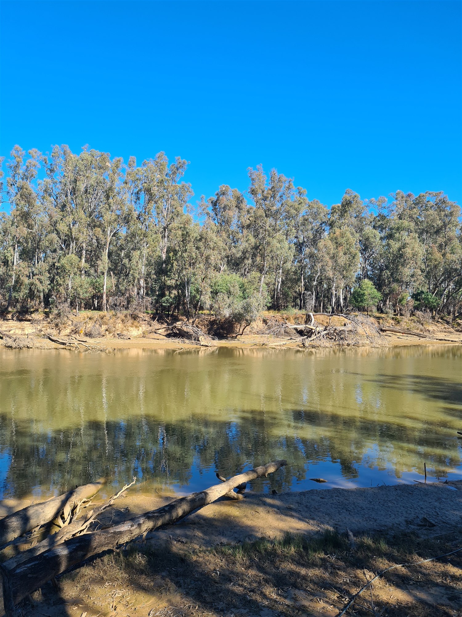 78 Louies Hut Road, Moama For Sale by Farmbuy.com - image 16
