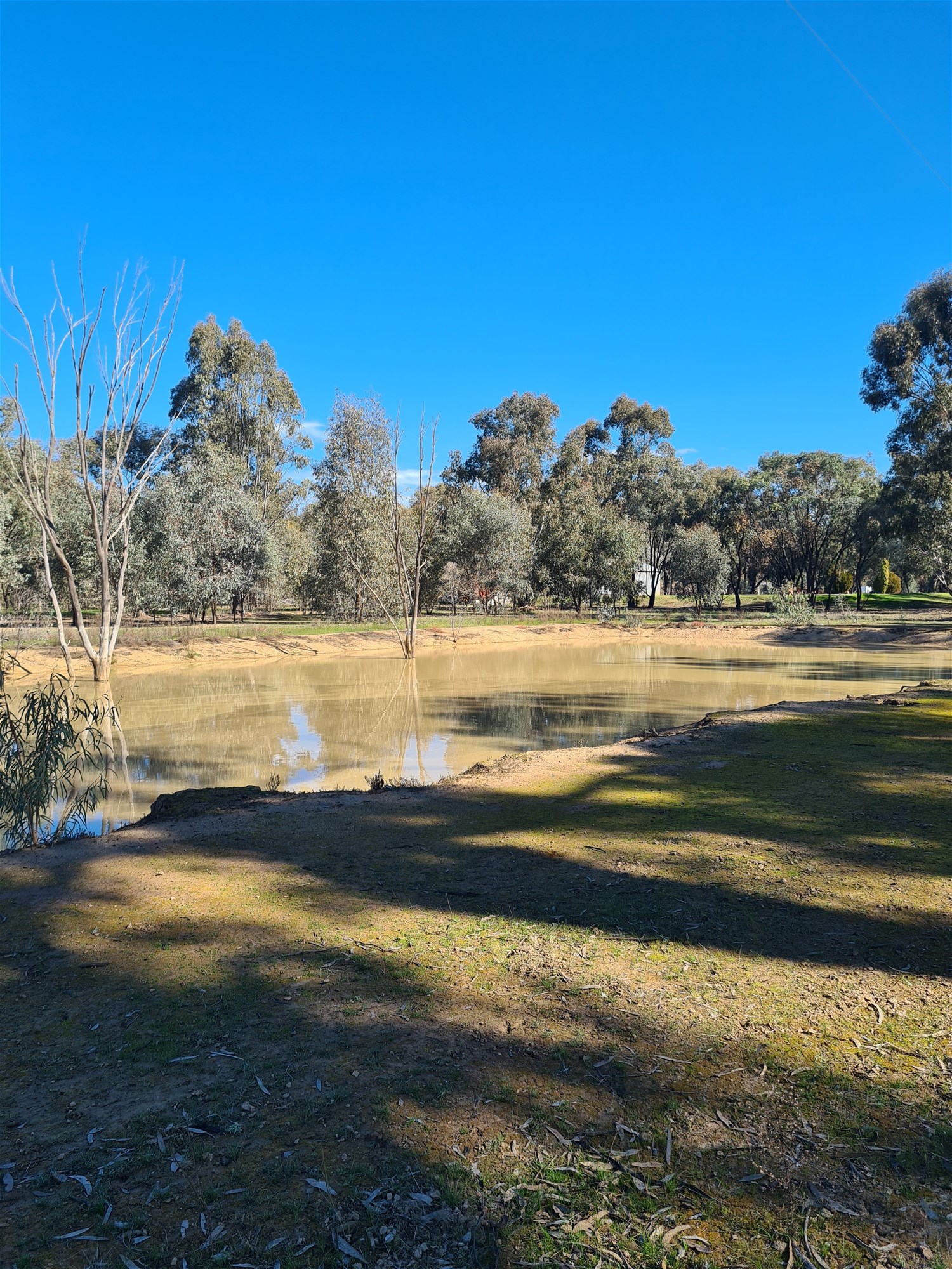 78 Louies Hut Road, Moama For Sale by Farmbuy.com - image 19