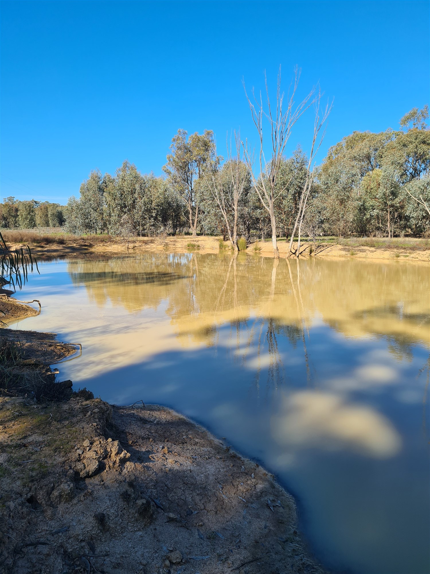 78 Louies Hut Road, Moama For Sale by Farmbuy.com - image 20