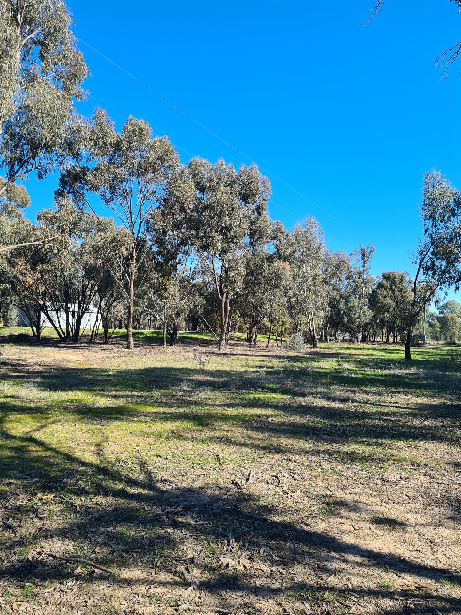 78 Louies Hut Road, Moama For Sale by Farmbuy.com - image 23
