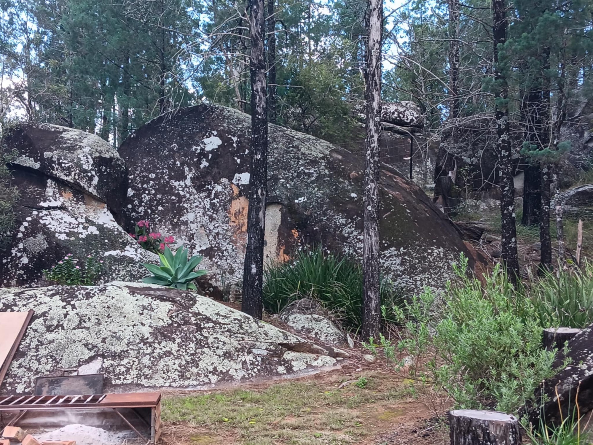 115 Smithfield Mundoey Road, Smithlea For Sale by Farmbuy.com - image 30