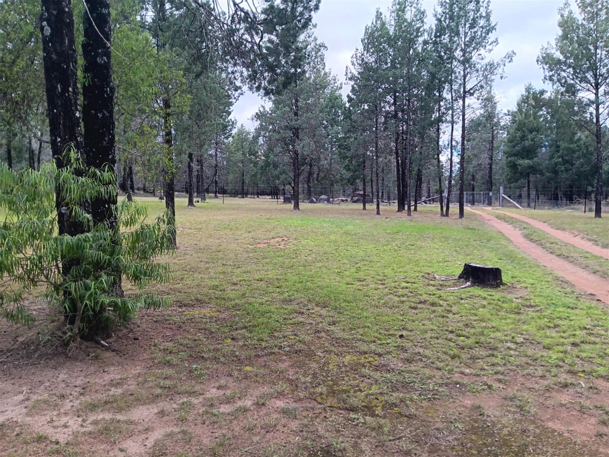 115 Smithfield Mundoey Road, Smithlea For Sale by Farmbuy.com - image 31