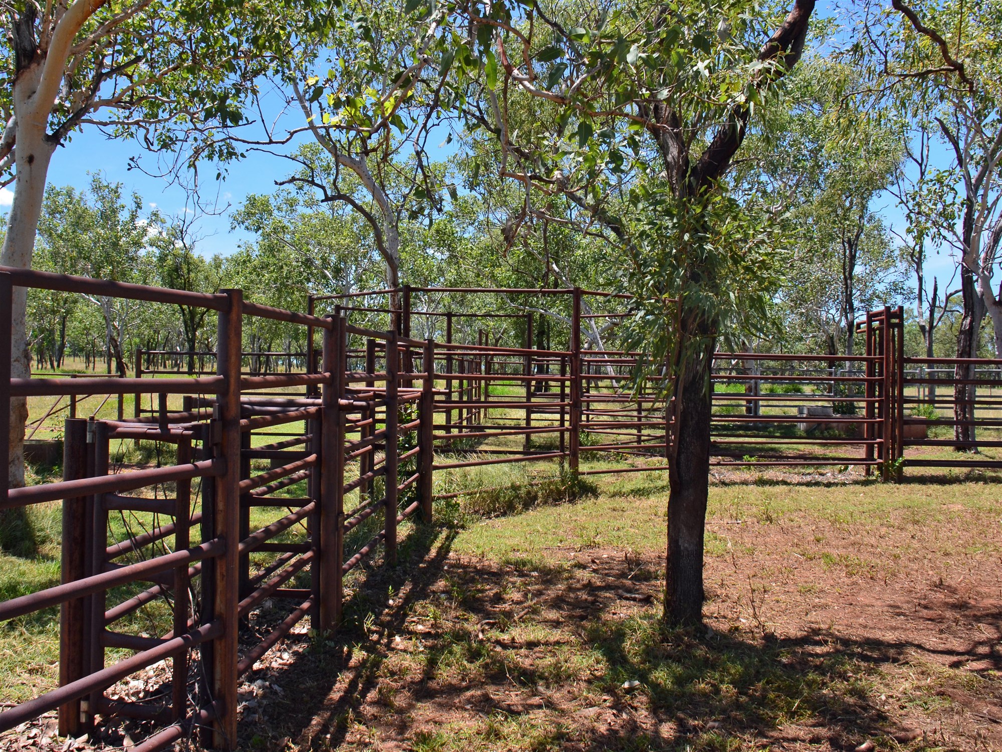 430 Napier Road, Katherine For Sale by Farmbuy.com - image 15