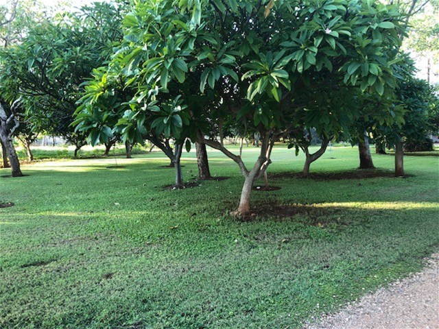 430 Napier Road, Katherine For Sale by Farmbuy.com - image 22