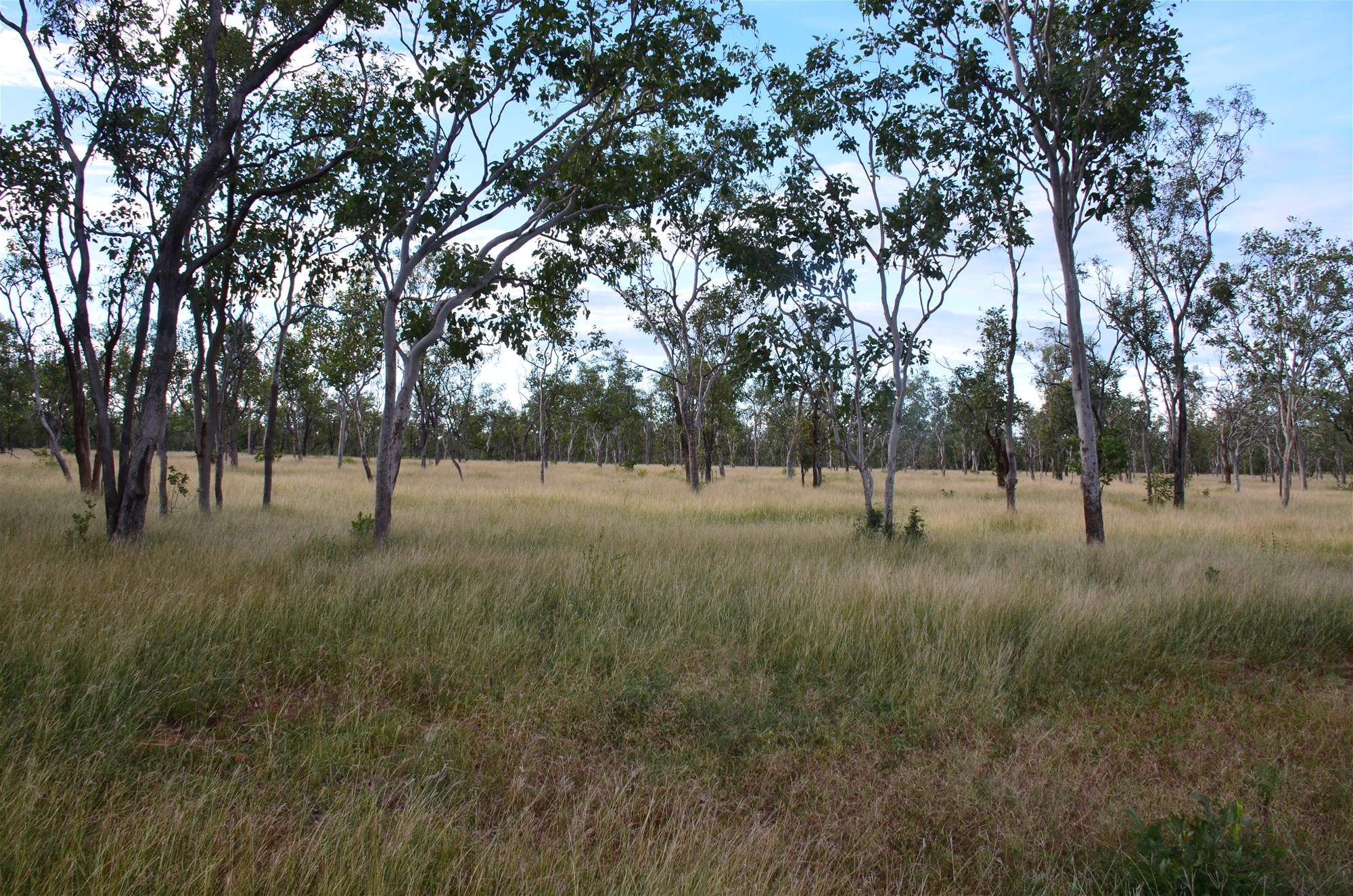 430 Napier Road, Katherine For Sale by Farmbuy.com - image 23