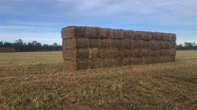 430 Napier Road, Katherine For Sale by Farmbuy.com - image 24