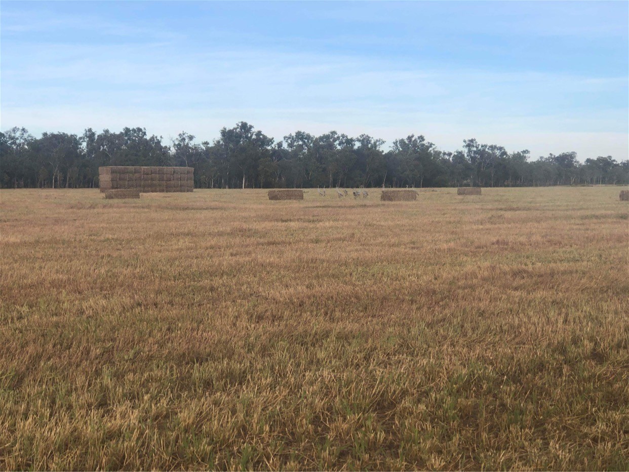 430 Napier Road, Katherine For Sale by Farmbuy.com - image 25