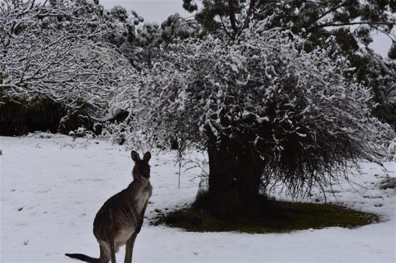 Wombeyan Caves For Sale by Farmbuy.com - image 8