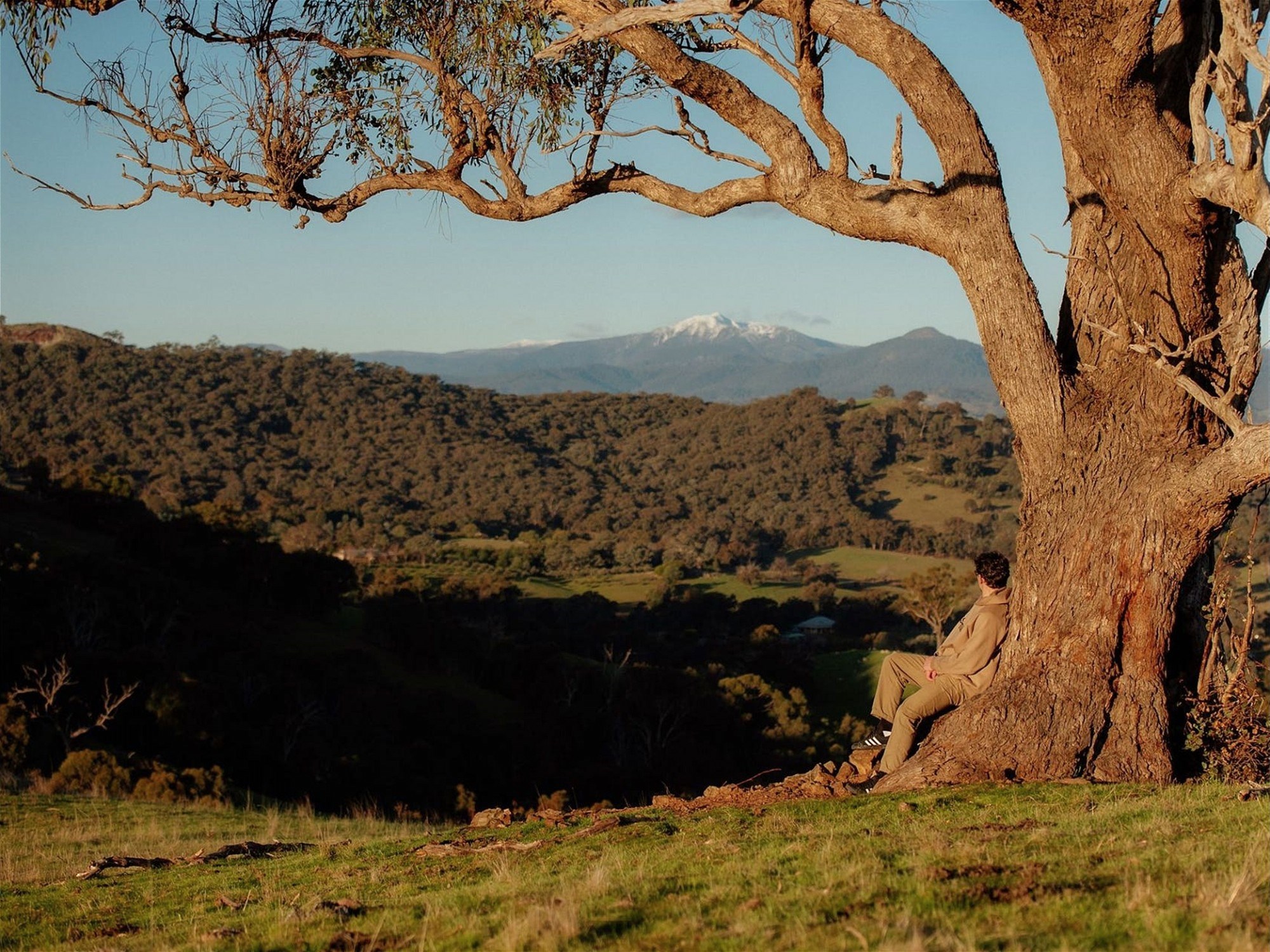 126 Godwills Road, Mansfield For Sale by Farmbuy.com - image 25