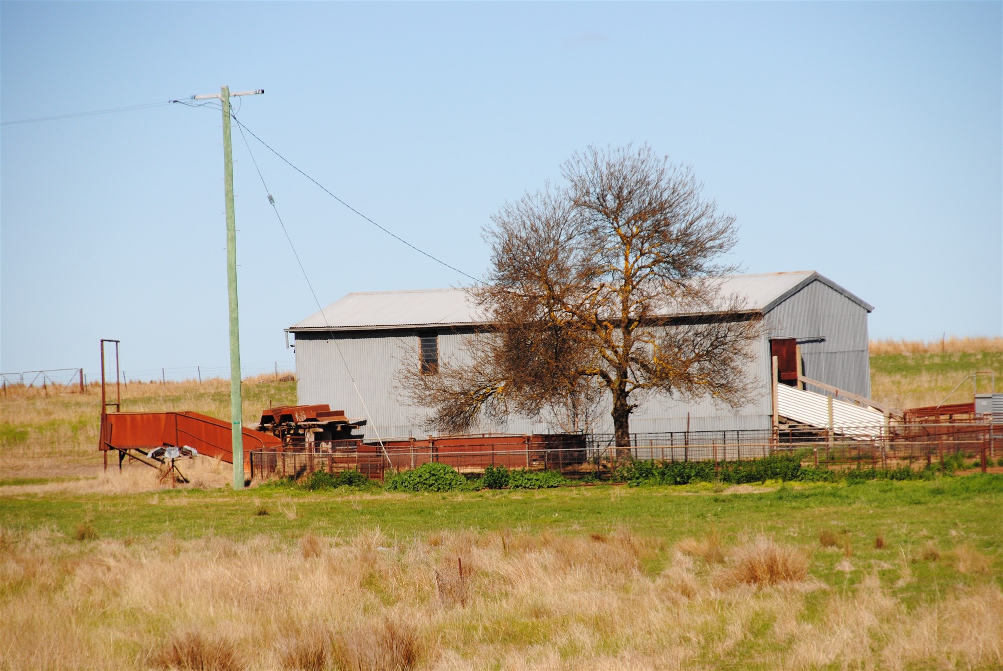 443 Wirrimah Road,Bendick Murrell, Wirrimah For Sale by Farmbuy.com - image 7