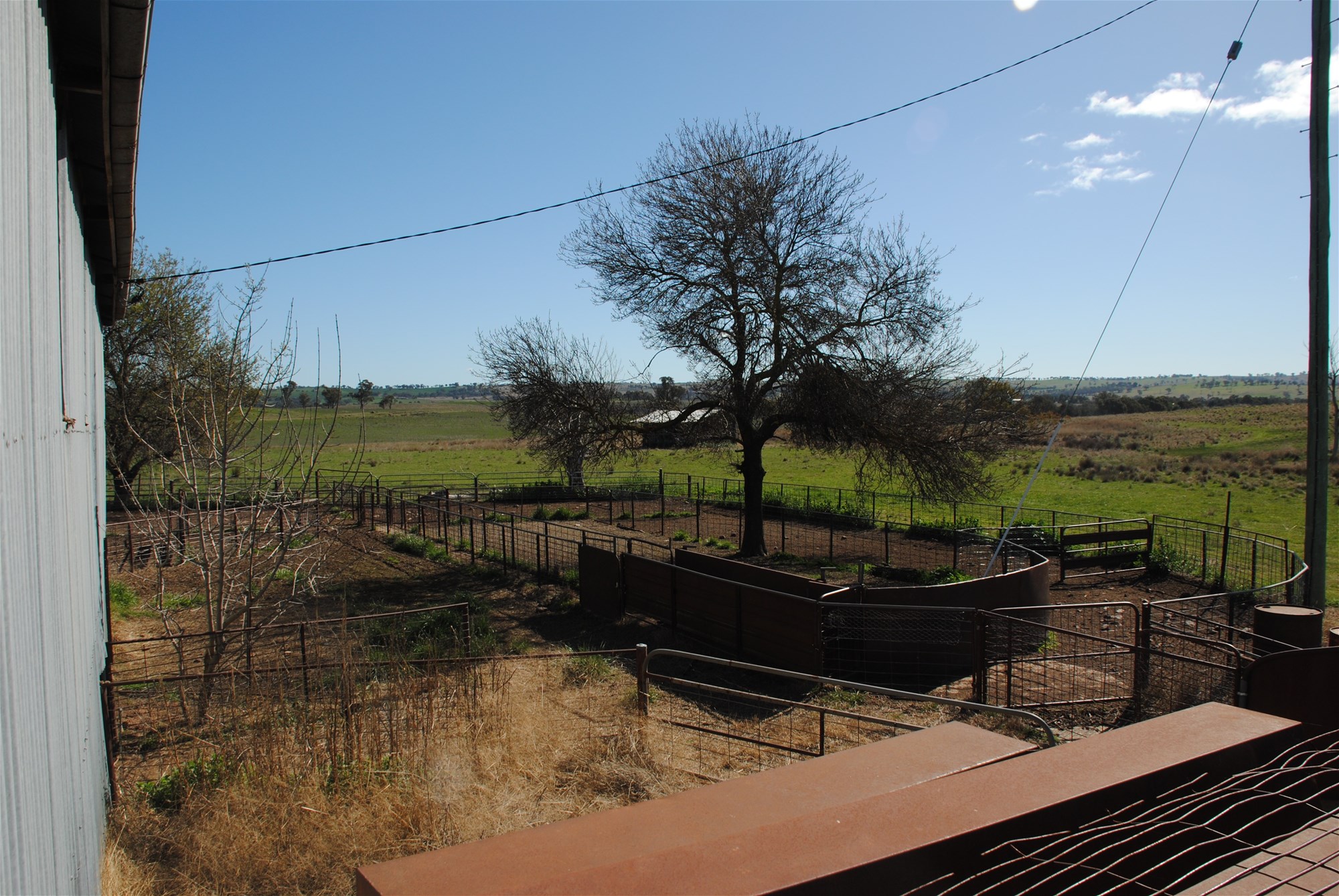 443 Wirrimah Road,Bendick Murrell, Wirrimah For Sale by Farmbuy.com - image 10