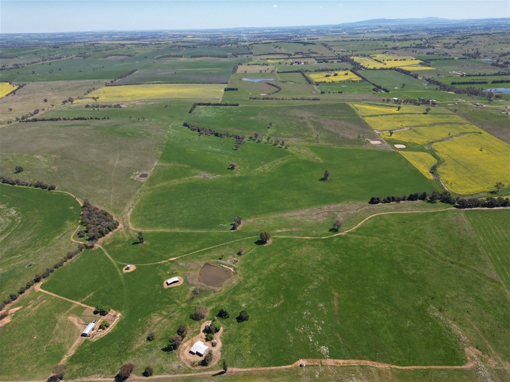 443 Wirrimah Road,Bendick Murrell, Wirrimah For Sale by Farmbuy.com - image 15