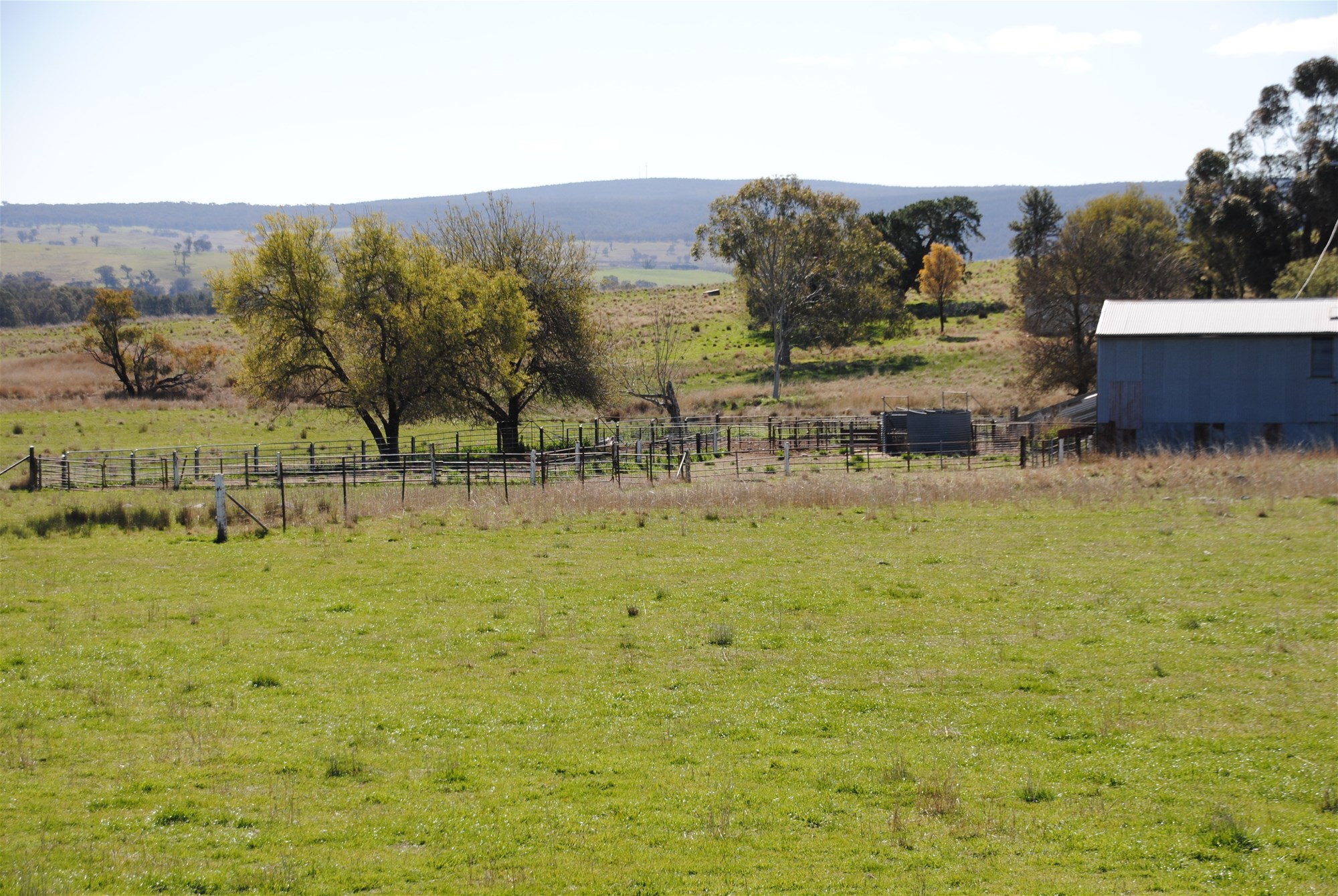 443 Wirrimah Road,Bendick Murrell, Wirrimah For Sale by Farmbuy.com - image 18