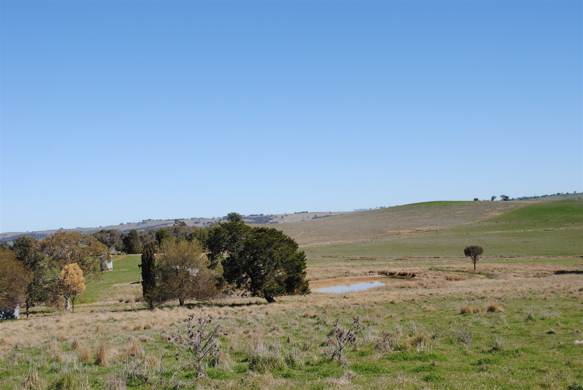 443 Wirrimah Road,Bendick Murrell, Wirrimah For Sale by Farmbuy.com - image 20